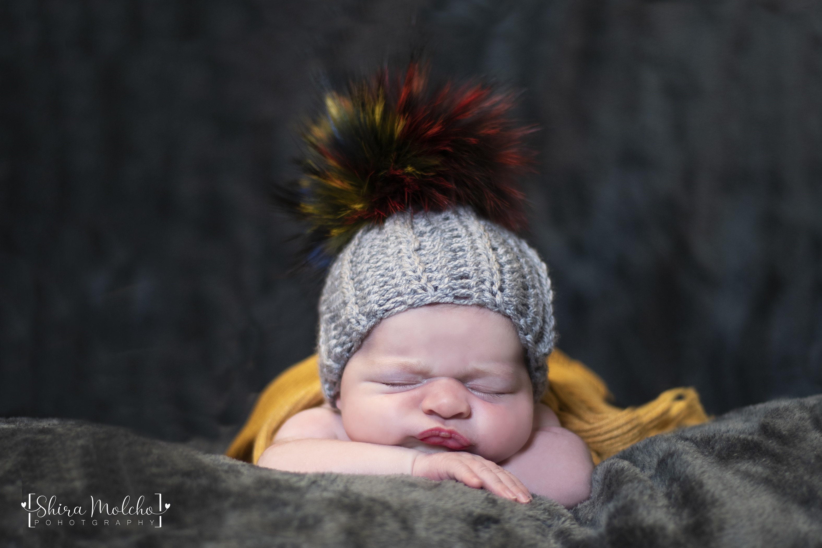 ‏‏נועה עם לוגו - עותק.jpg