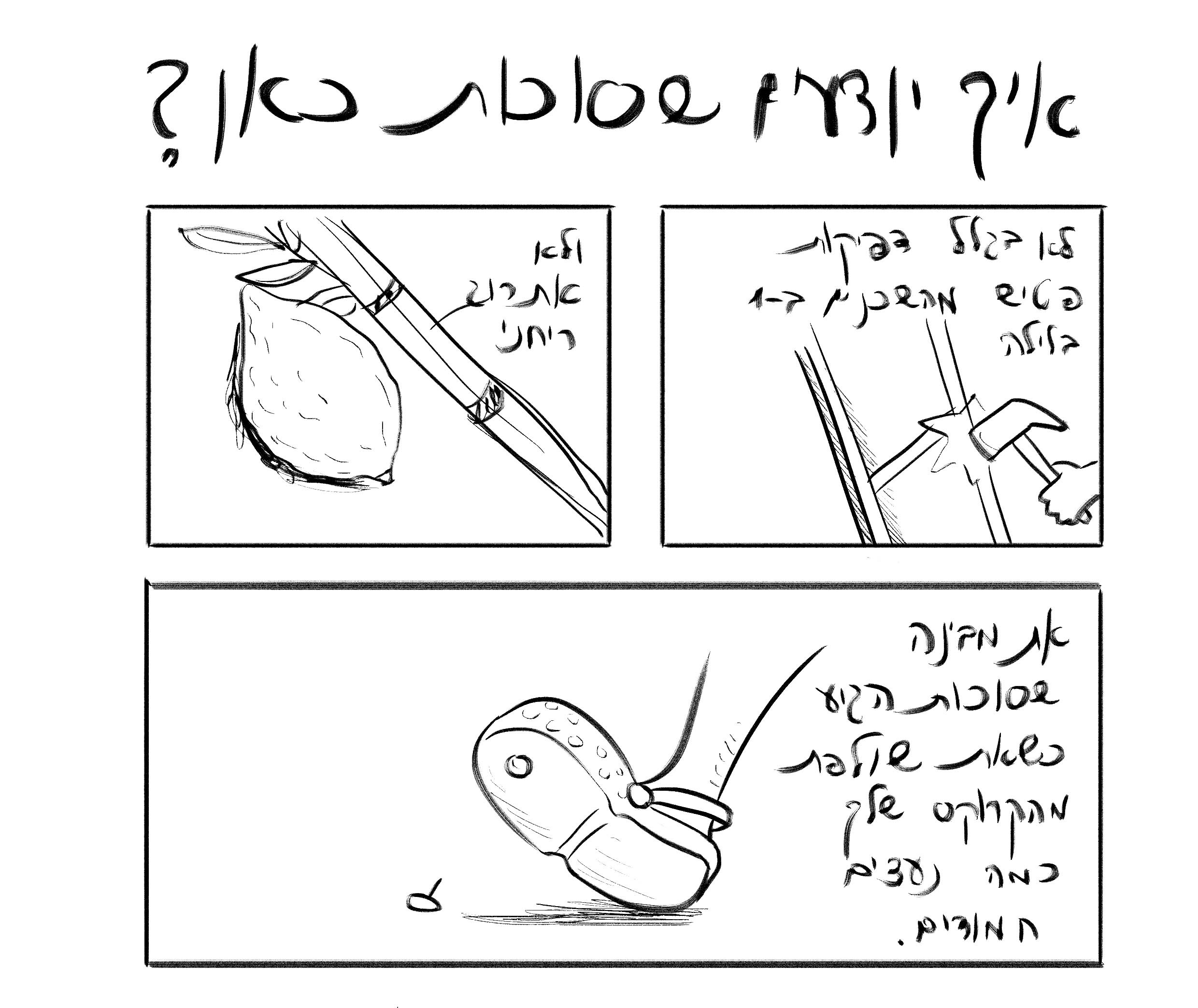 ‏‏סוכות אכן כאן - עותק.jpg