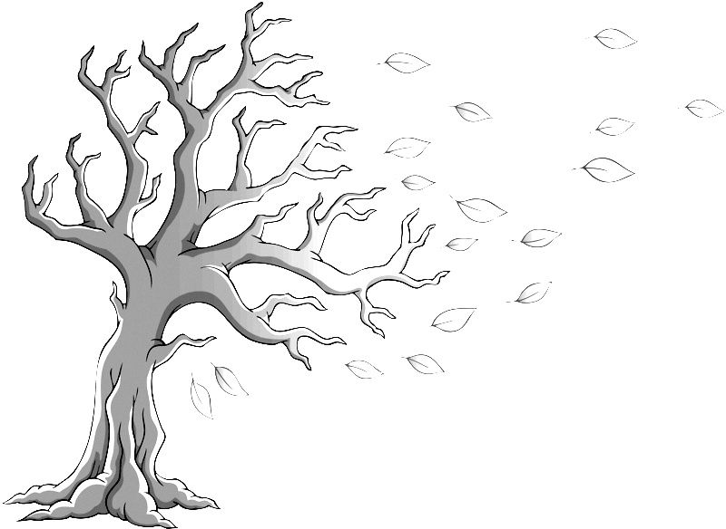 ‏‏סתיו 1 - עותק.png.jpg