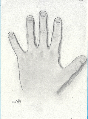 ‏‏צילום מסך (115).png