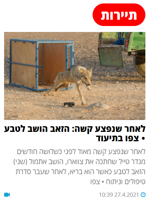 ‏‏צילום מסך (614).png