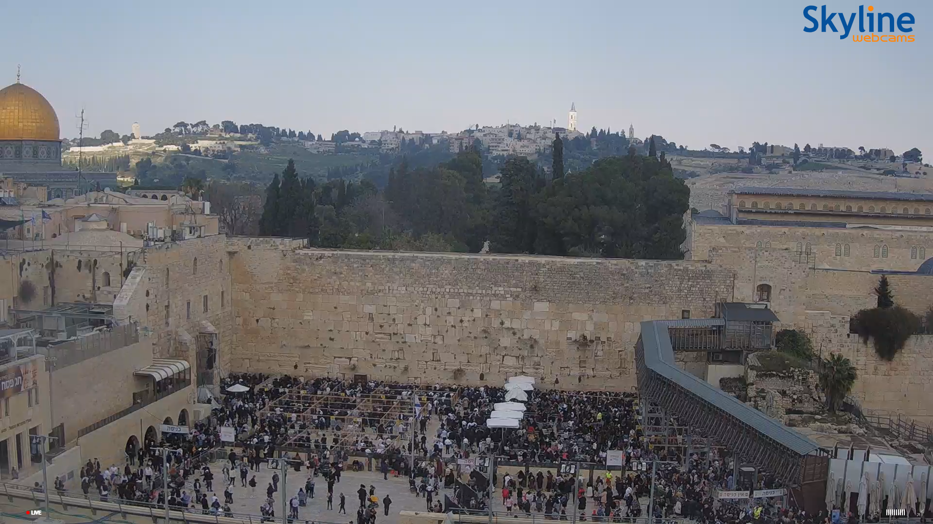 ‏‏צילום מסך 665.png