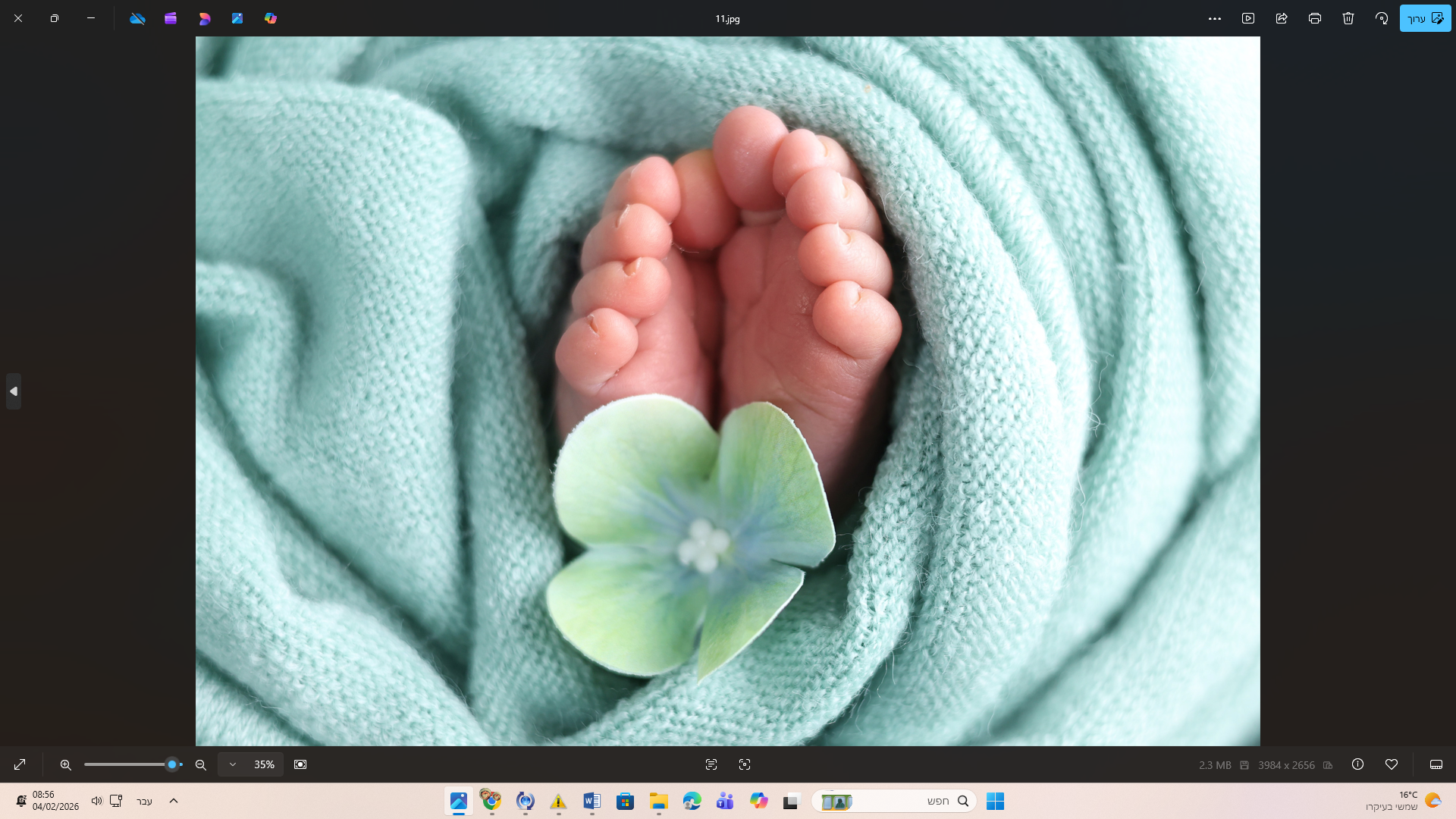 ‏‏צילום מסך (70).png