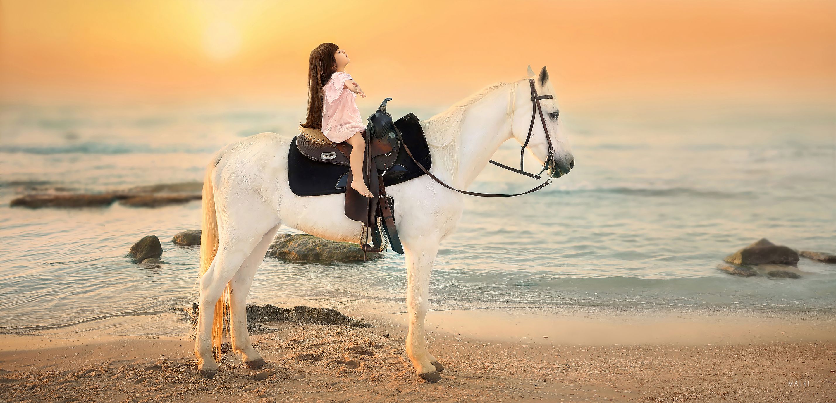 ‏‏‏‏3 - עותק - עותק.jpg