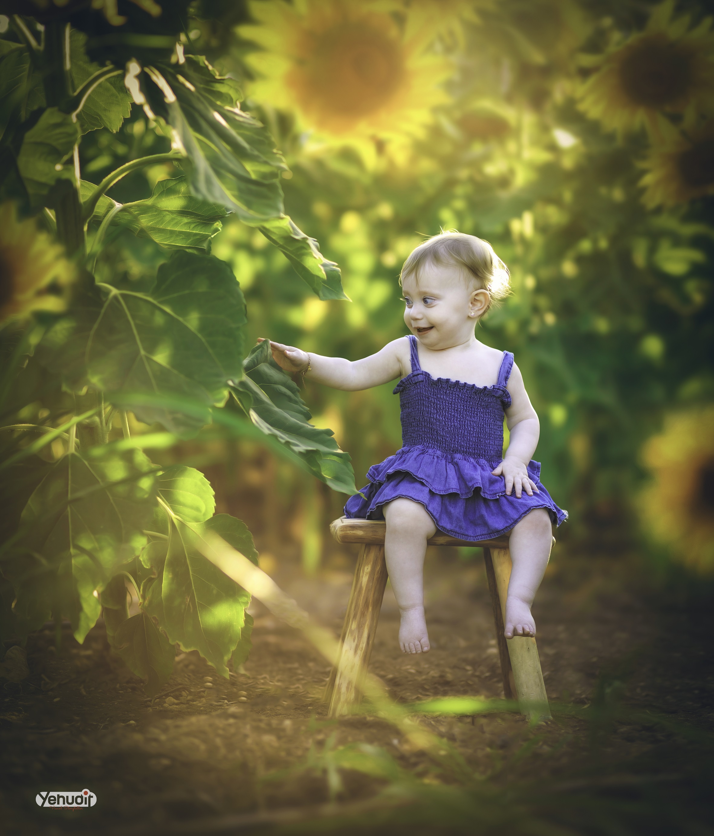 ‏‏‏‏5X7A9368 - יהודית סמט - עותק.jpg