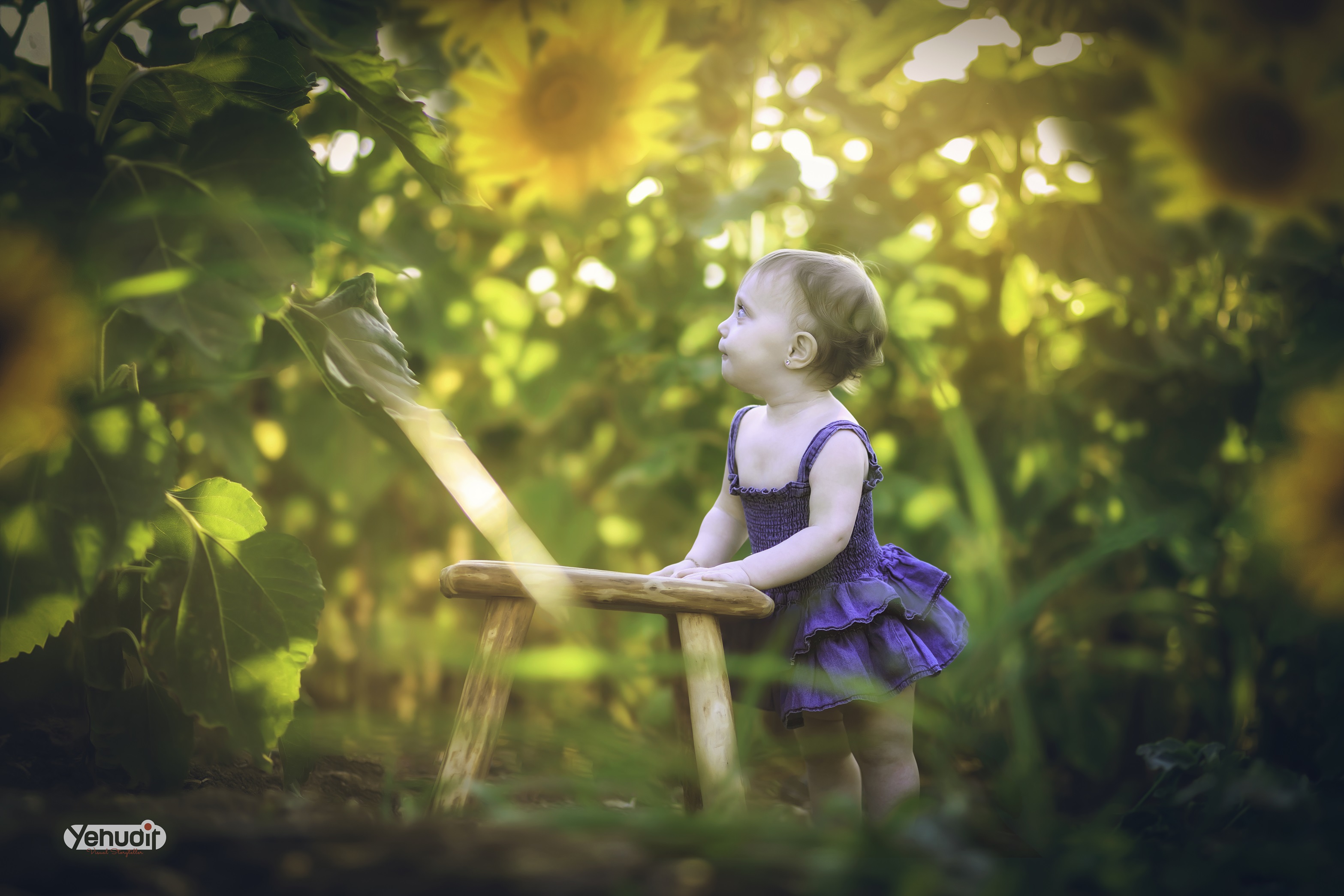 ‏‏‏‏5X7A9388 - יהודית סמט - עותק.jpg