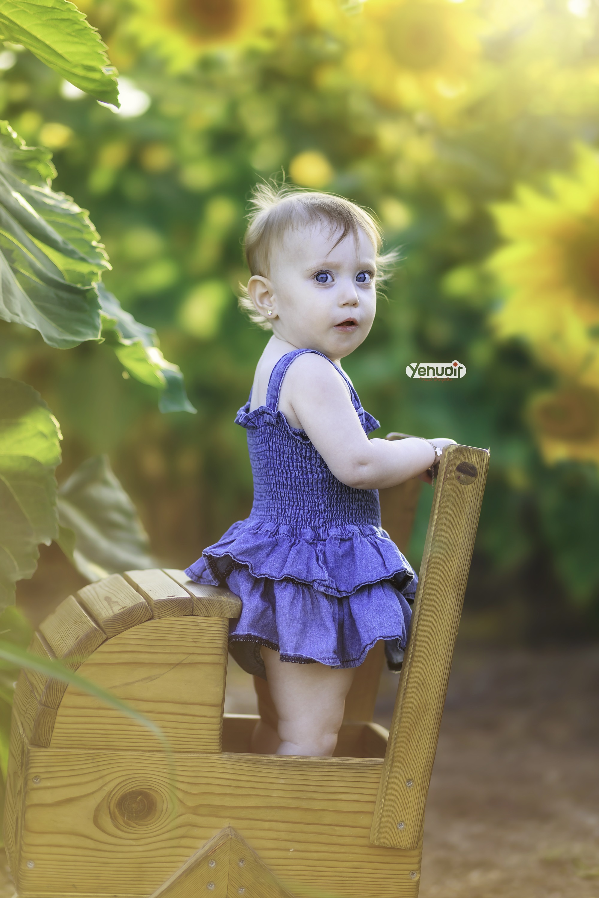 ‏‏‏‏5X7A9477 - יהודית סמט - עותק.jpg