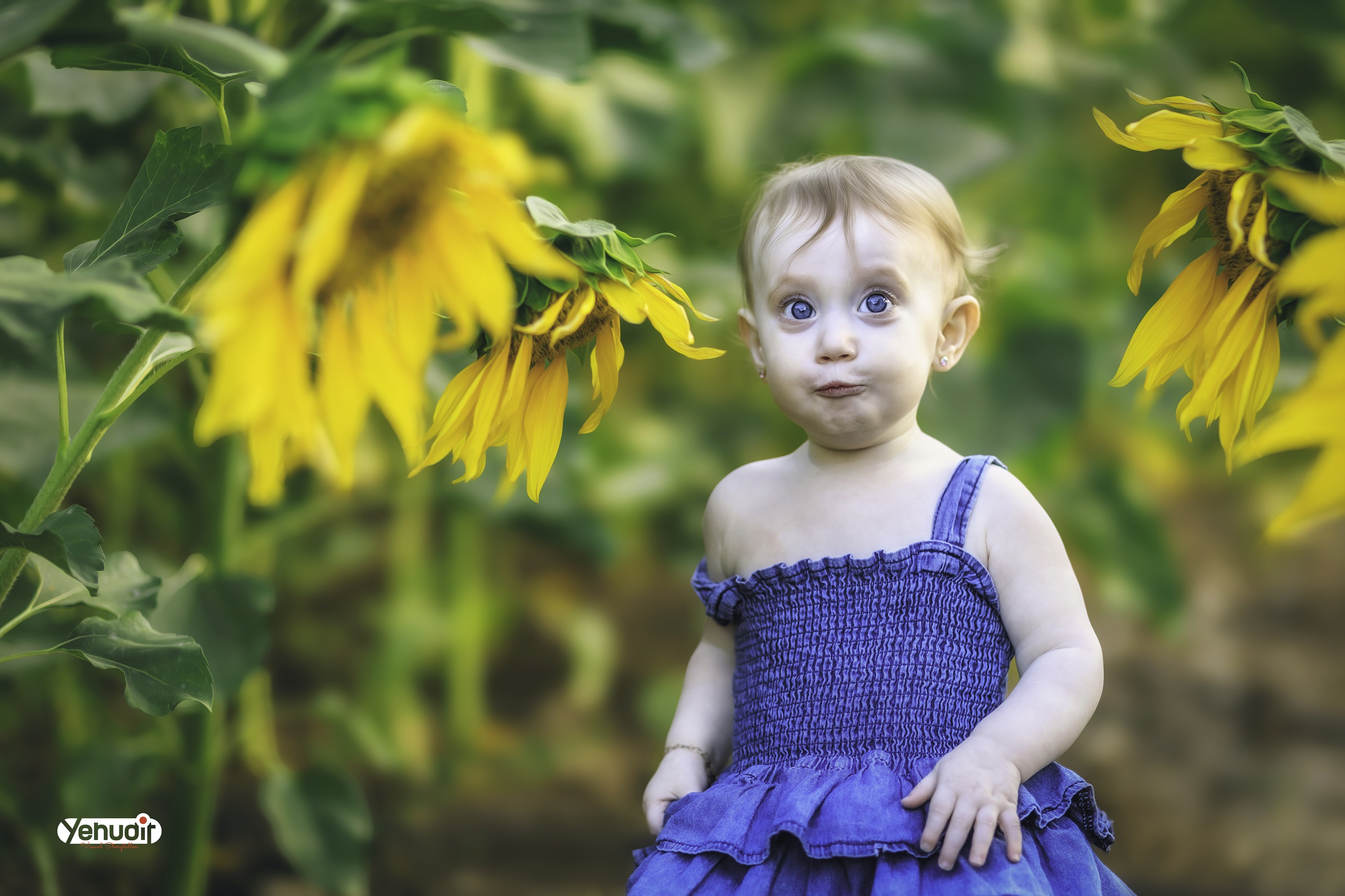 ‏‏‏‏5X7A9542 - יהודית סמט - עותק.jpg