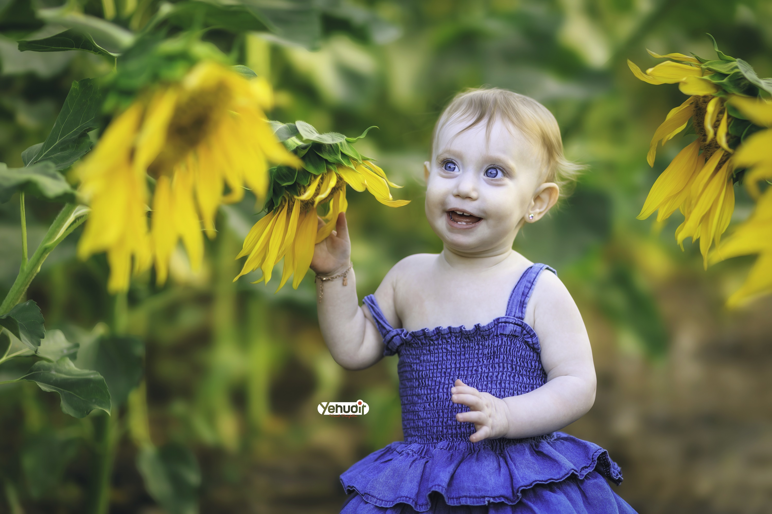 ‏‏‏‏5X7A9547 - יהודית סמט - עותק.jpg