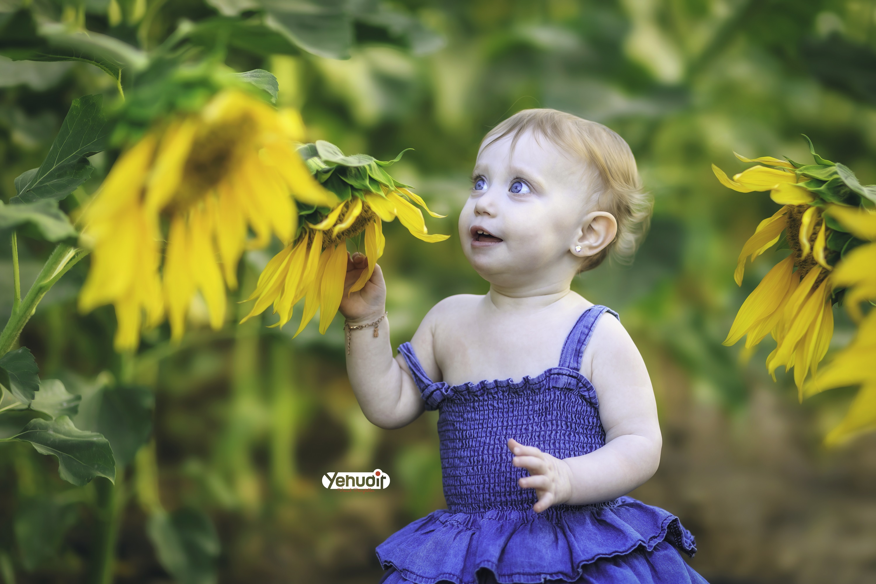 ‏‏‏‏5X7A9550 - יהודית סמט - עותק.jpg