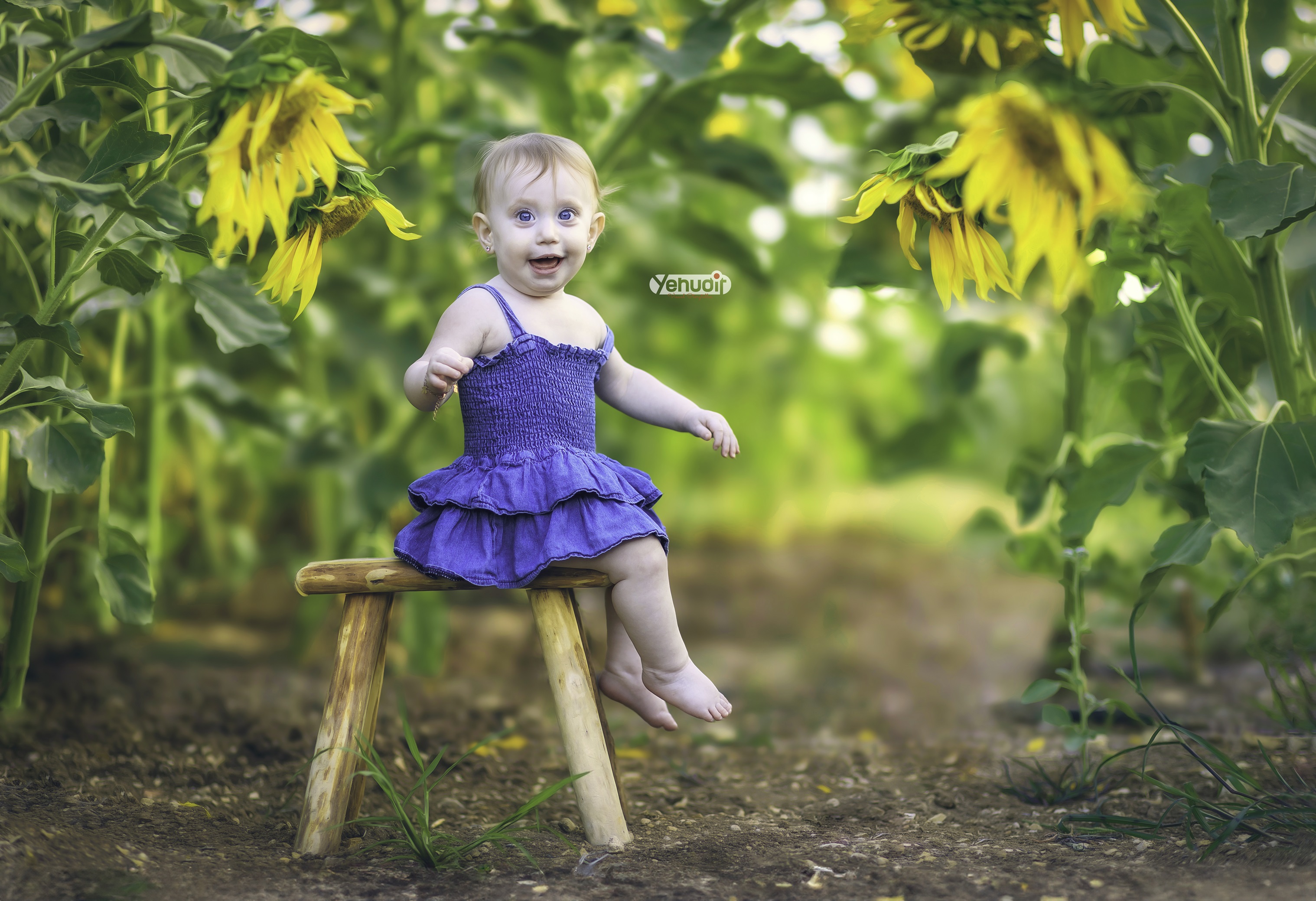 ‏‏‏‏5X7A9607 - יהודית סמט - עותק.jpg