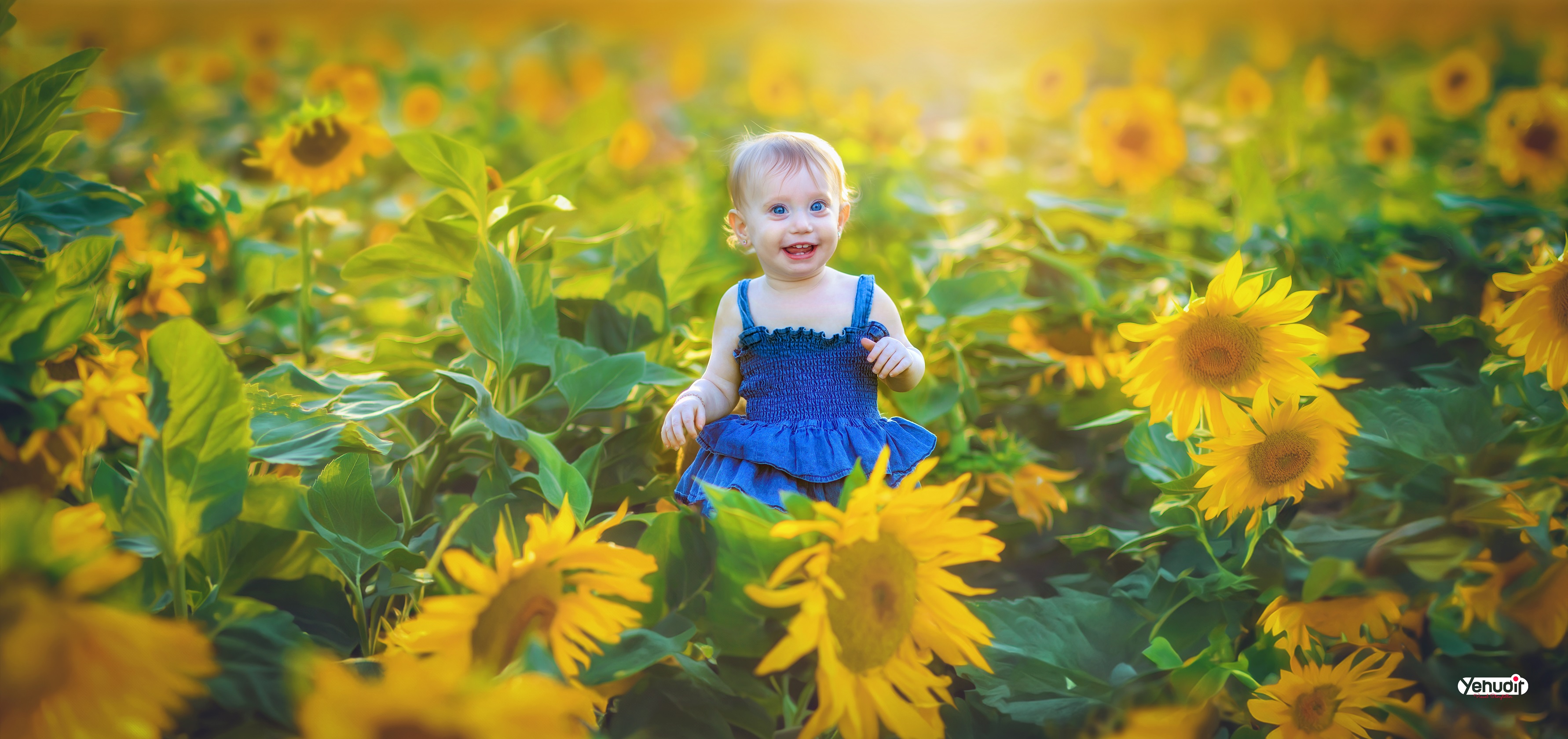 ‏‏‏‏5X7A9644 - יהודית סמט - עותק.jpg