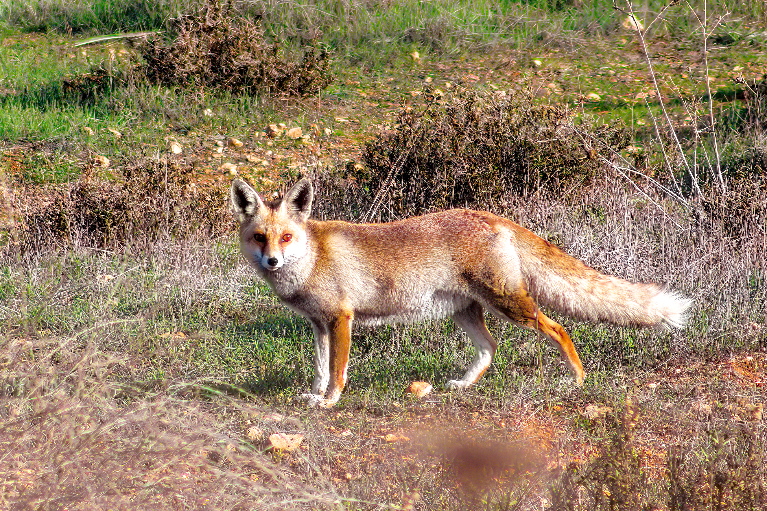 ‏‏11 - עותק.jpg