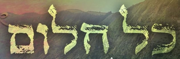 ‏‏2000_61745f3086763 - עותק.jpg