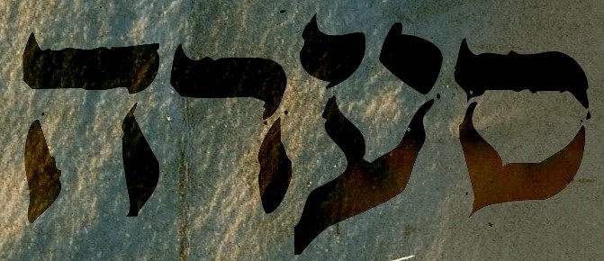 ‏‏2000_62a5d80041ac3 - עותק.jpg