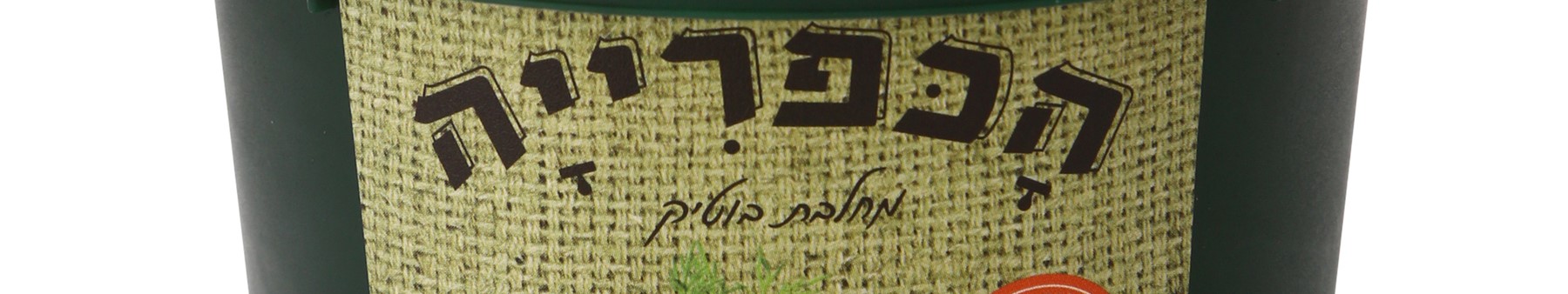 ‏‏2024-03-19T10-08-51-337Z - עותק.jpg