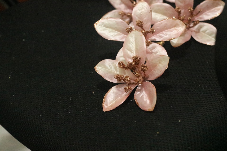 ‏‏IMG_0006 - עותק.JPG