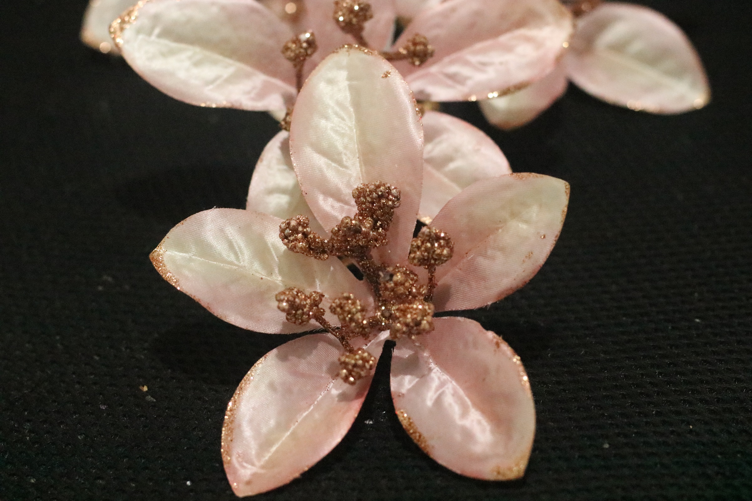 ‏‏IMG_0007 - עותק.JPG