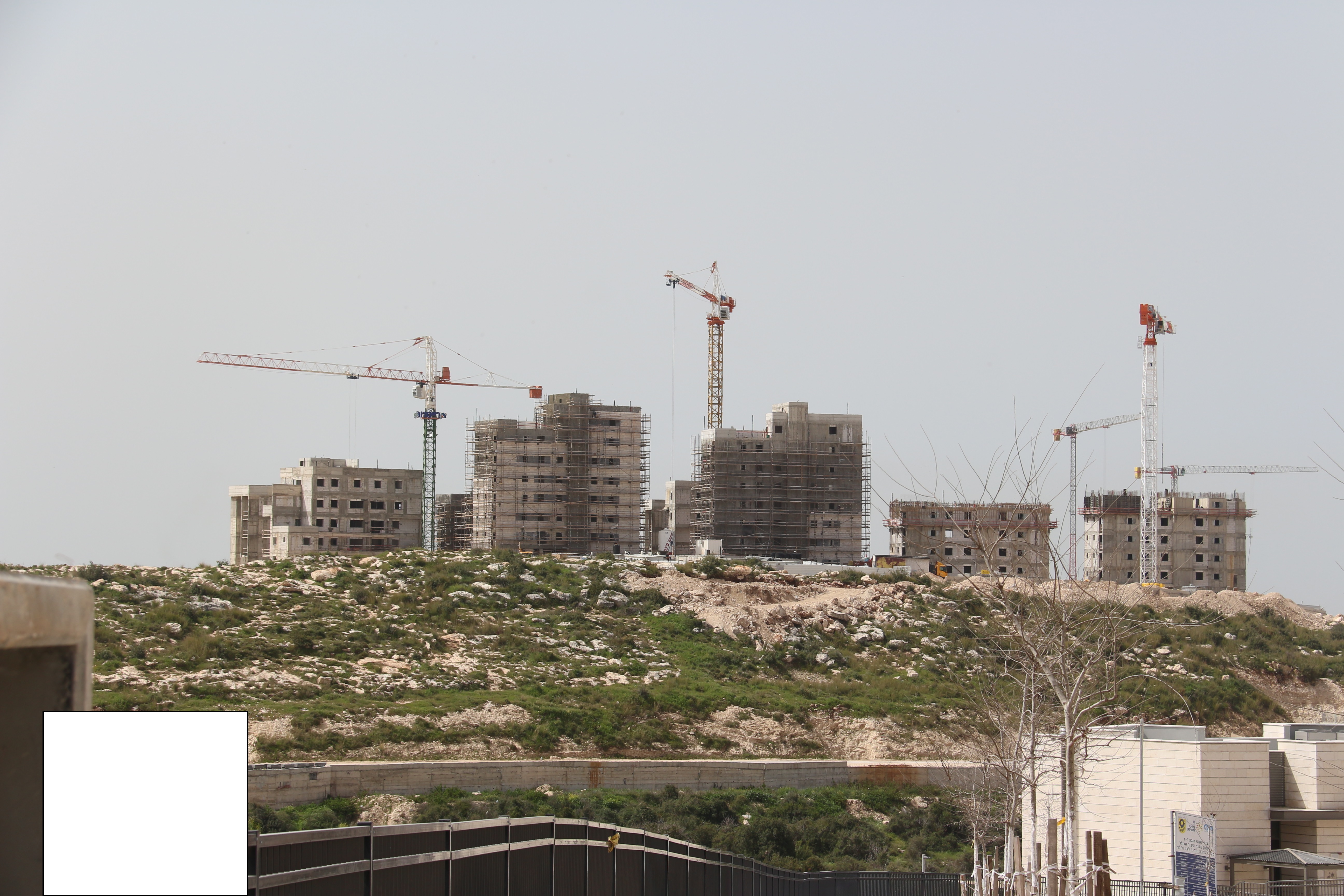 ‏‏IMG_0036 - עותק.JPG