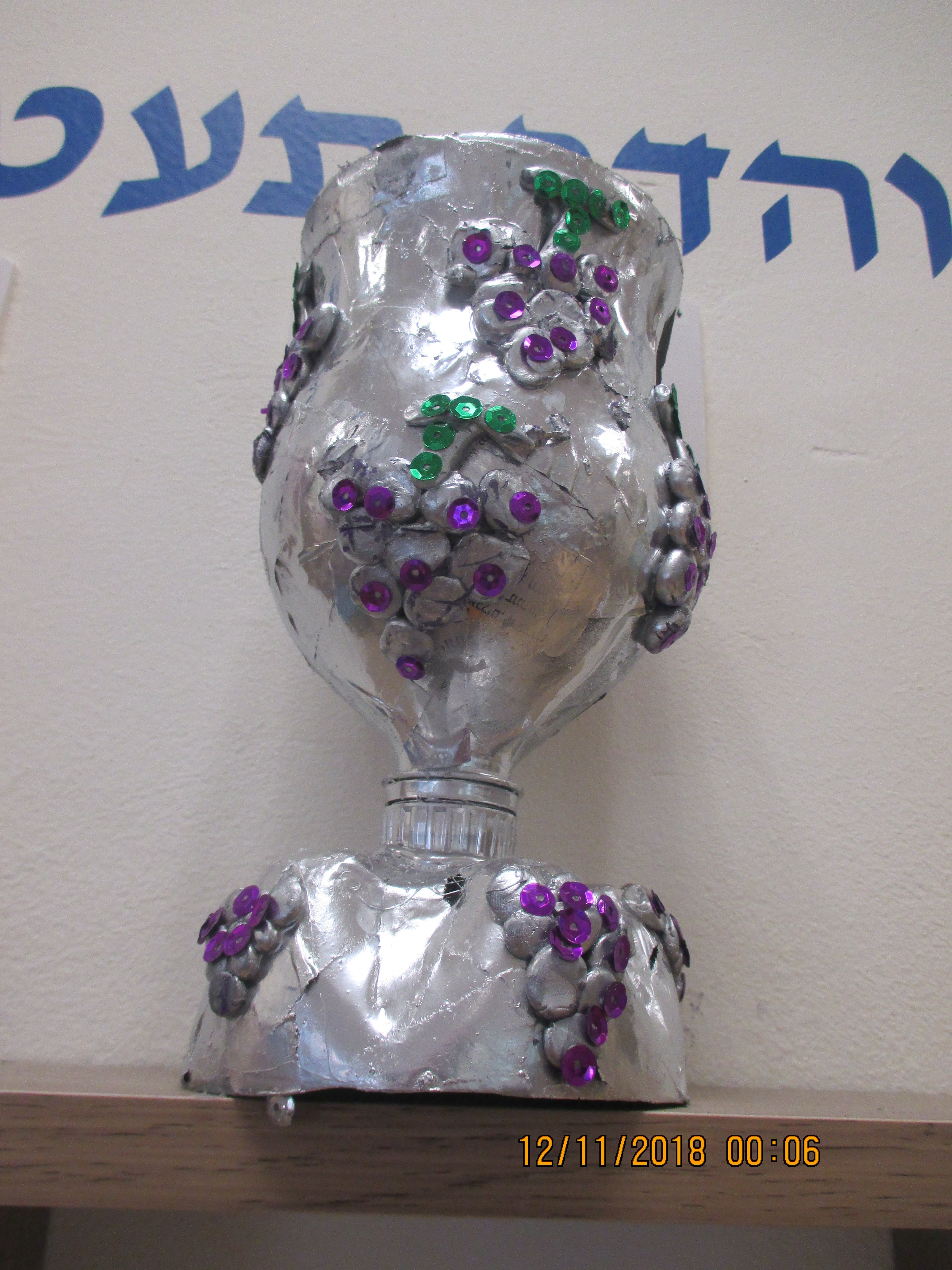 ‏‏IMG_0073 - עותק.JPG