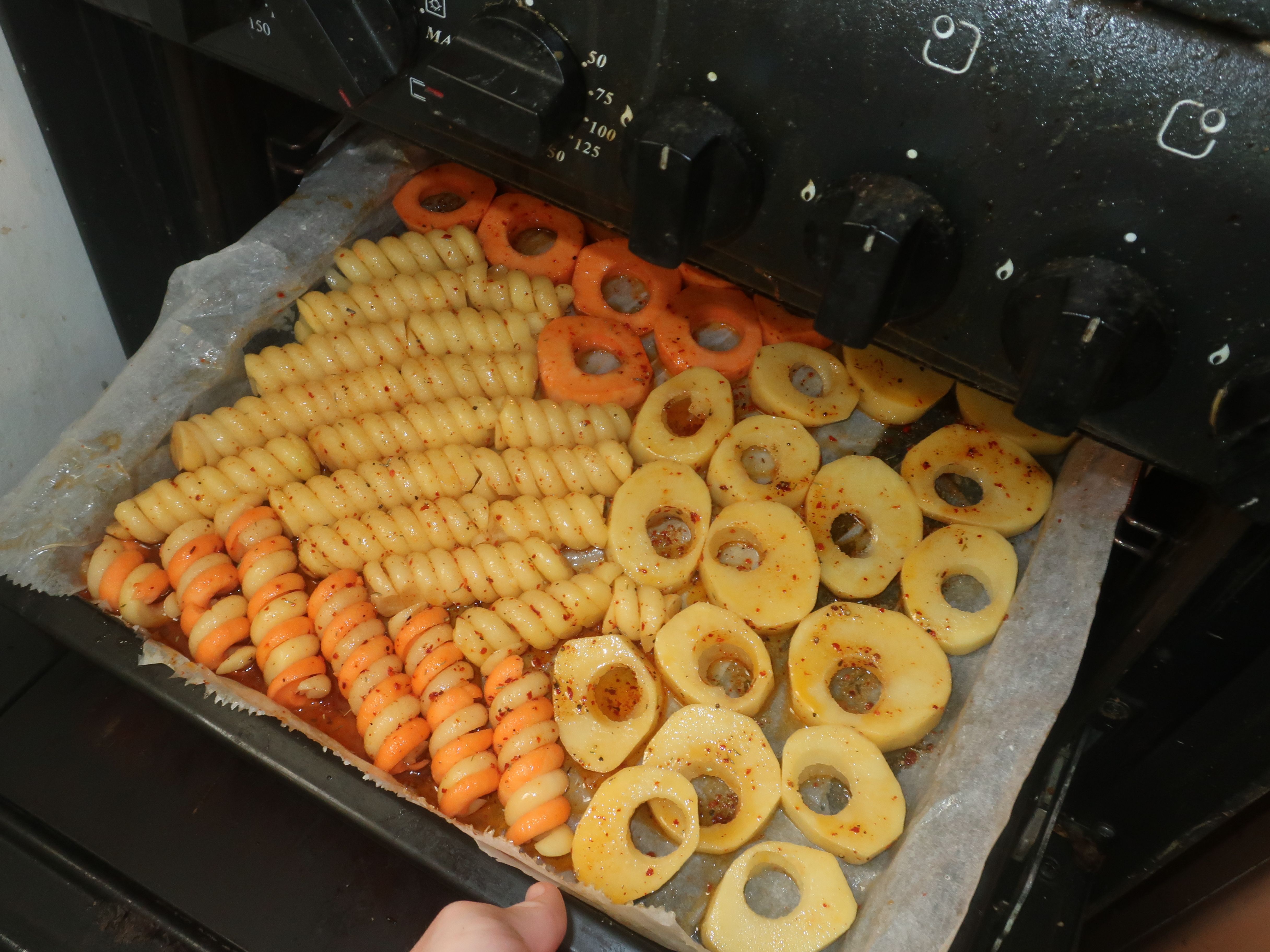 ‏‏IMG_0555 - עותק.JPG