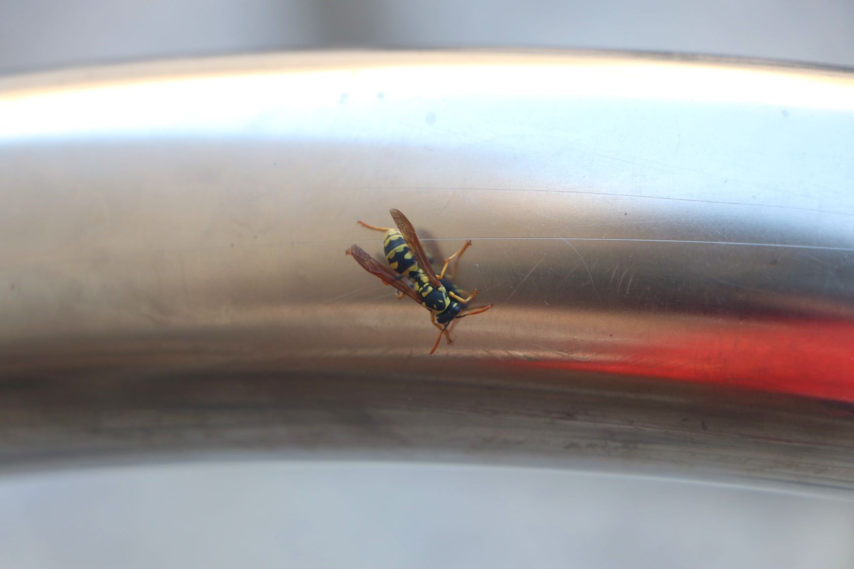 ‏‏IMG_0579 - עותק.jpg