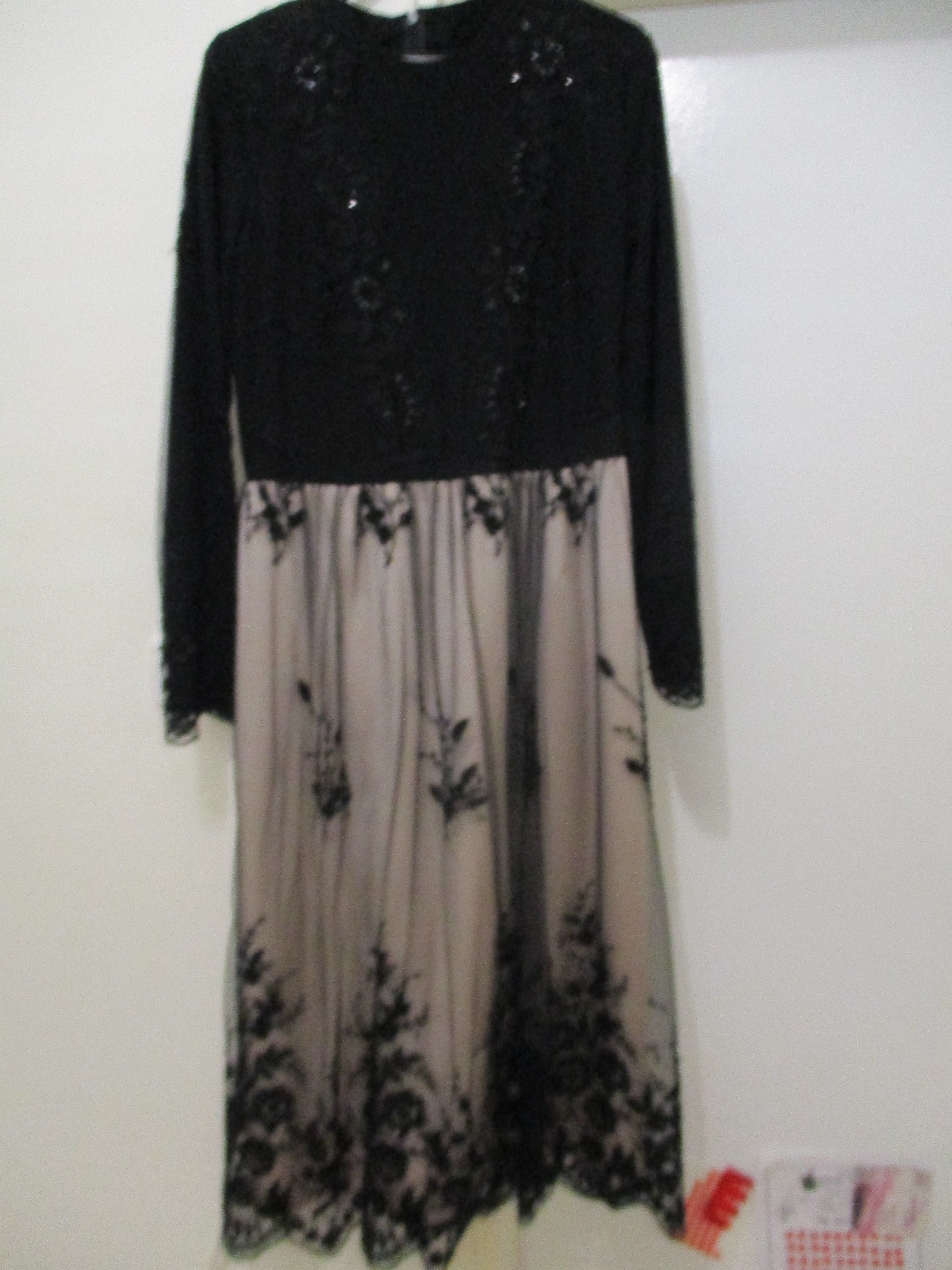 ‏‏IMG_1906 - עותק.JPG