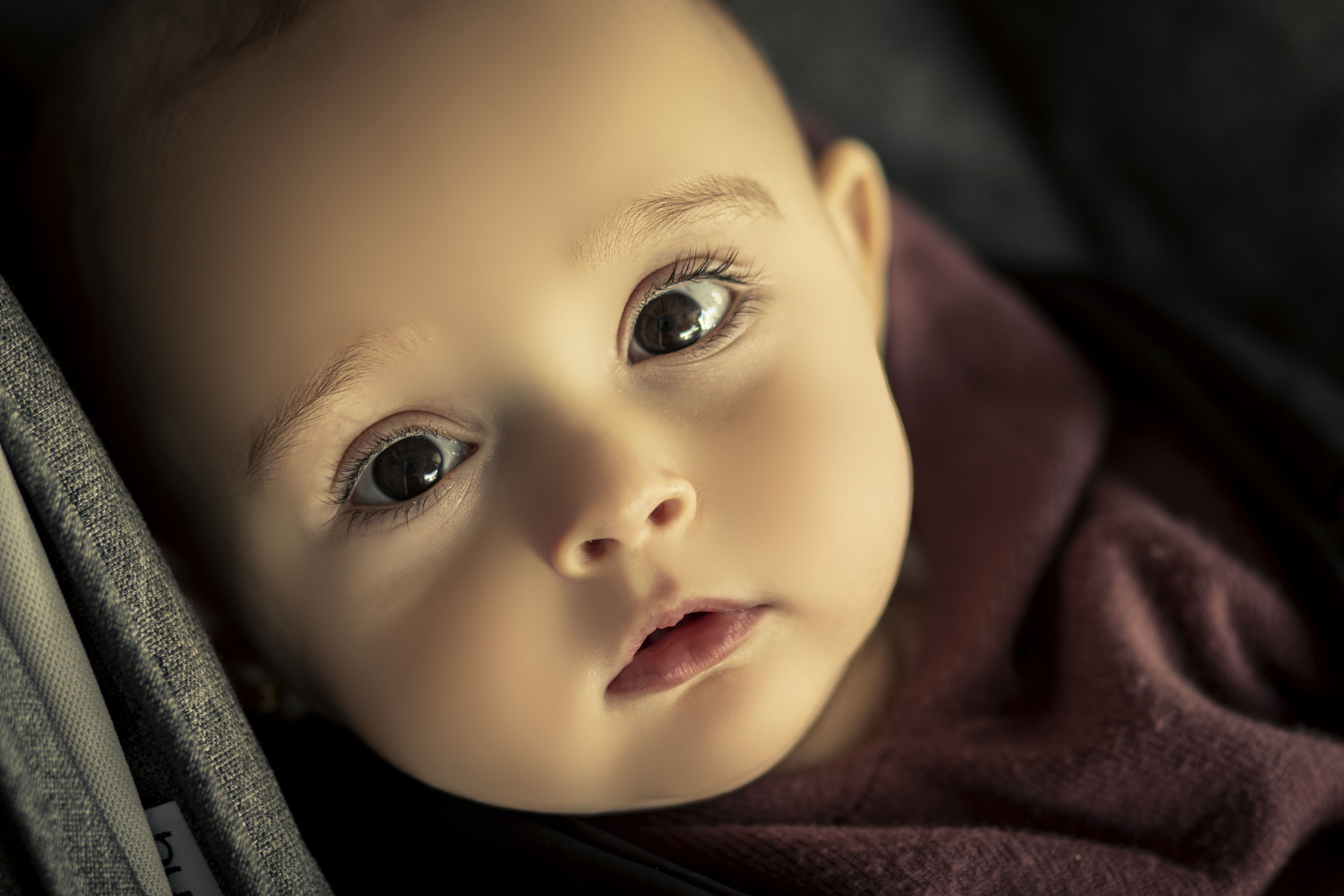 ‏‏IMG_2418 - עותק.JPG