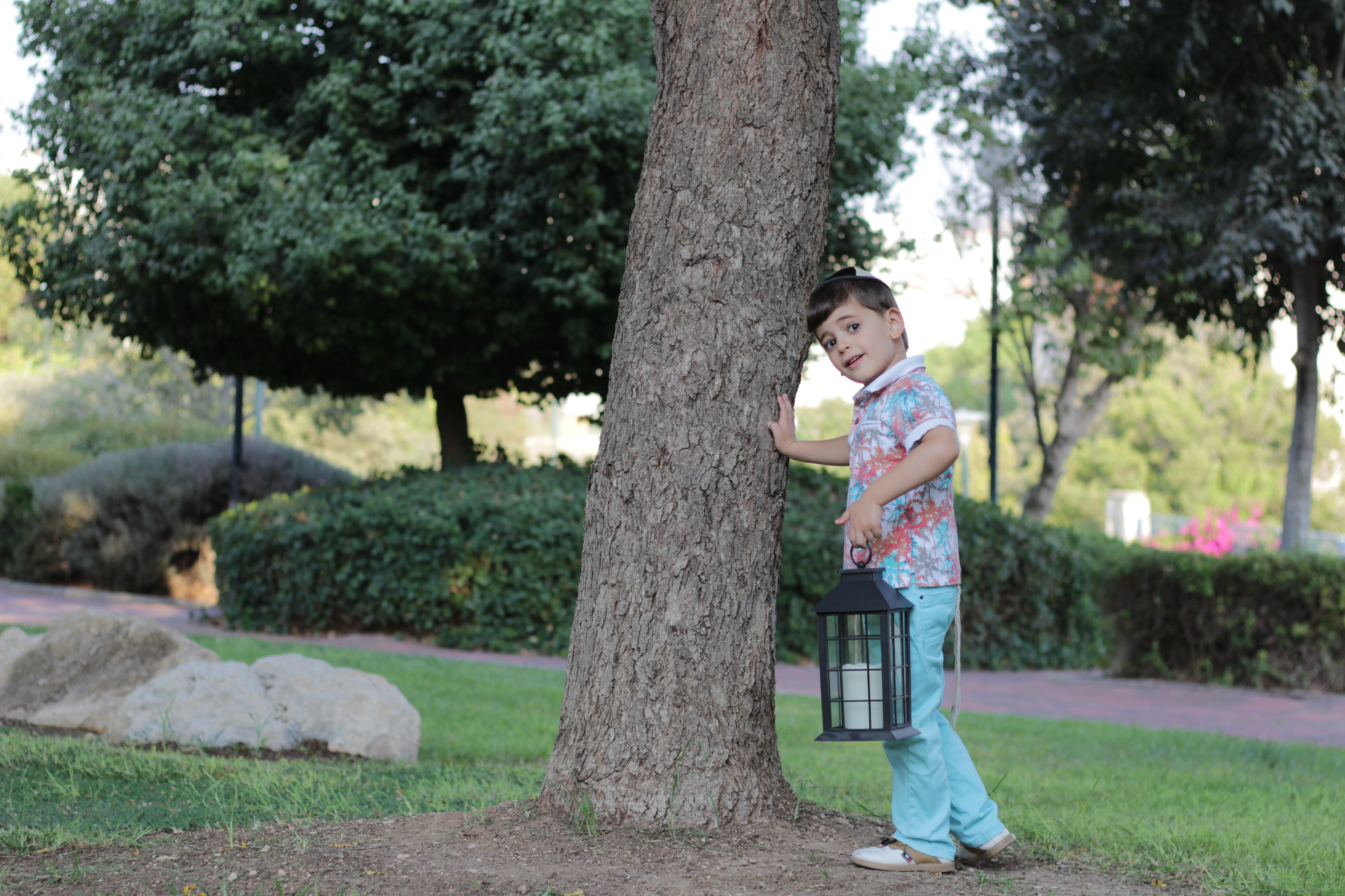 ‏‏IMG_3343 - עותק.JPG
