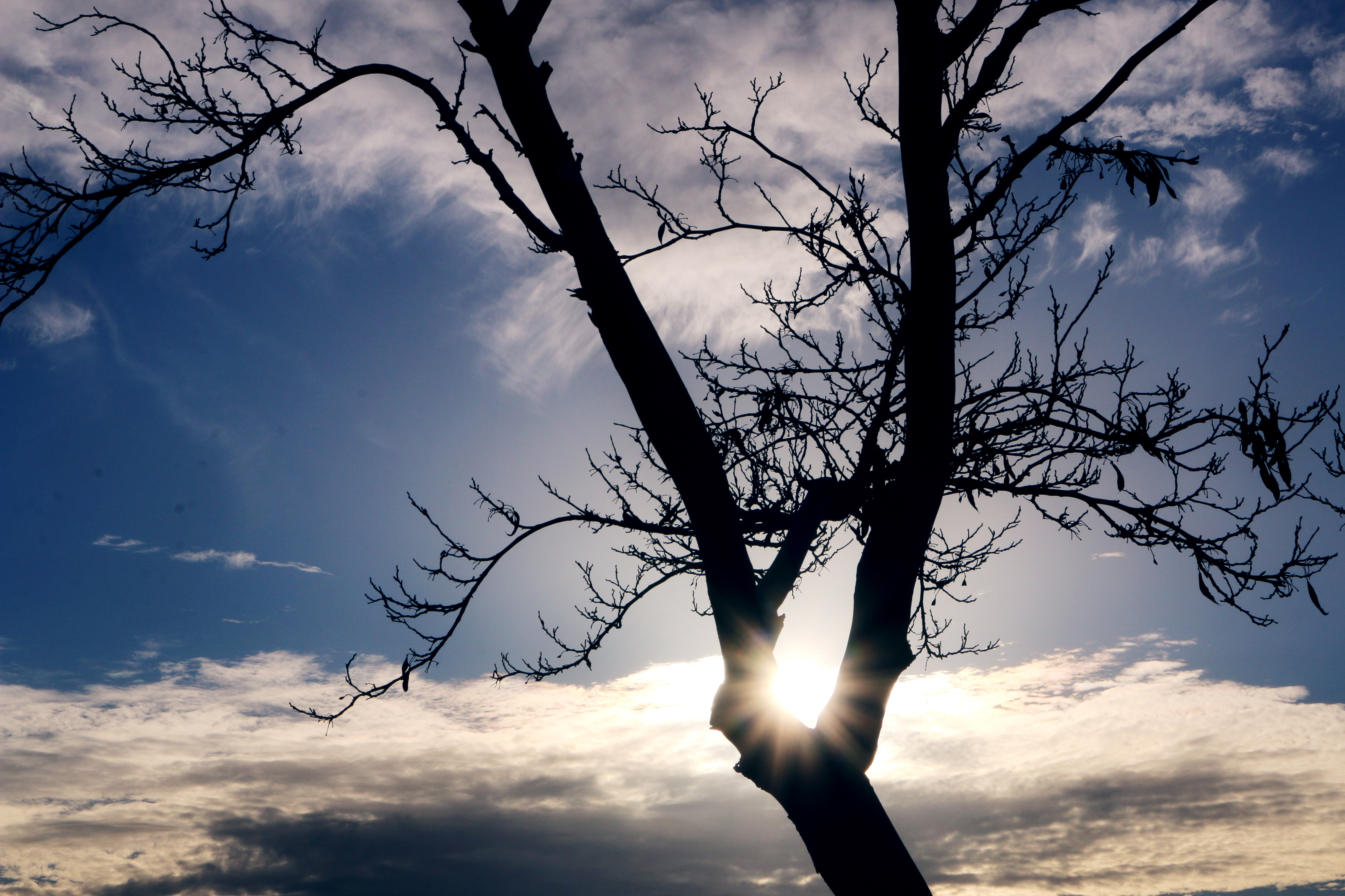 ‏‏IMG_4534 copy - עותק copy.jpg