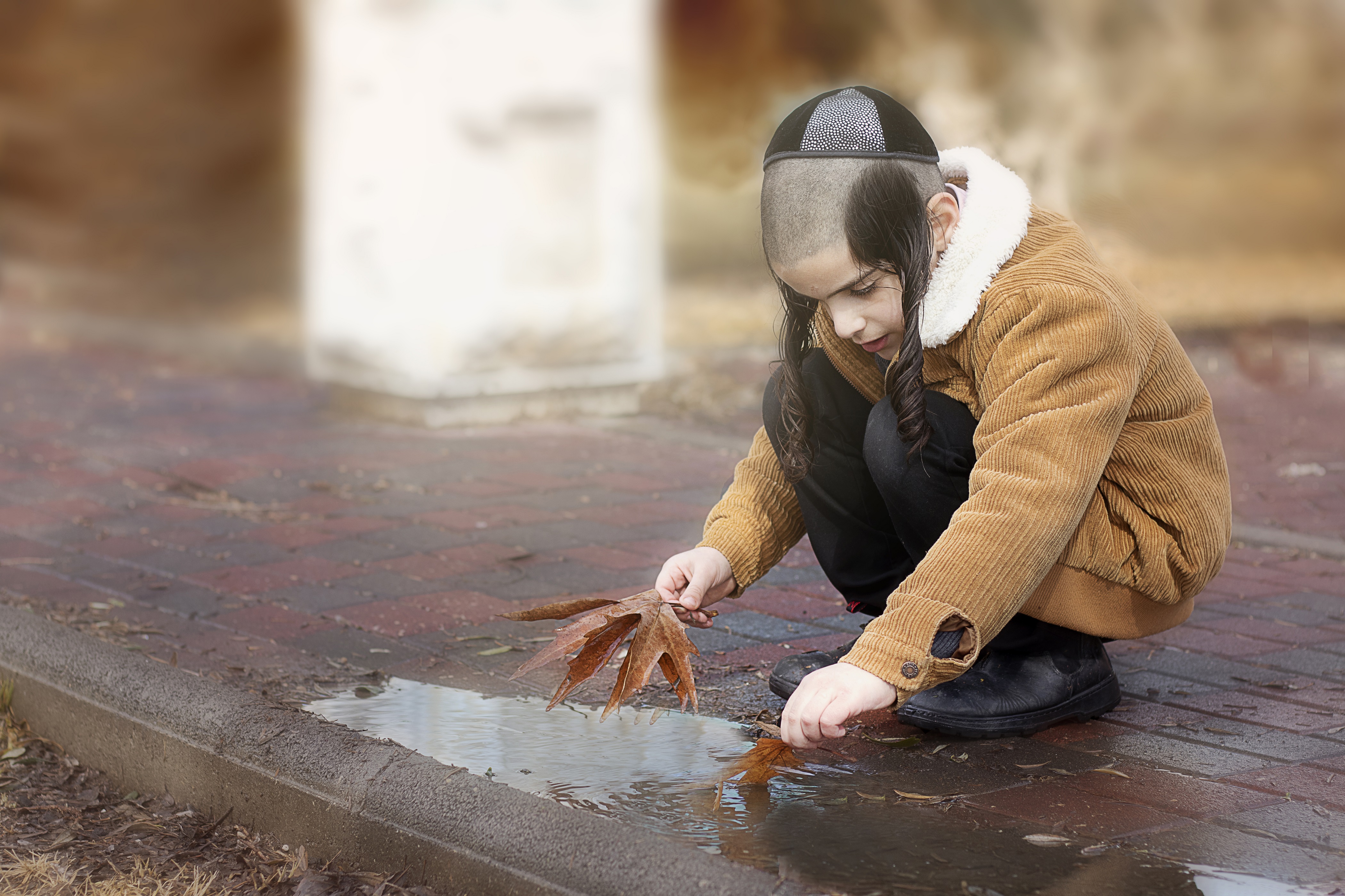 ‏‏IMG_67163 - עותק.jpg