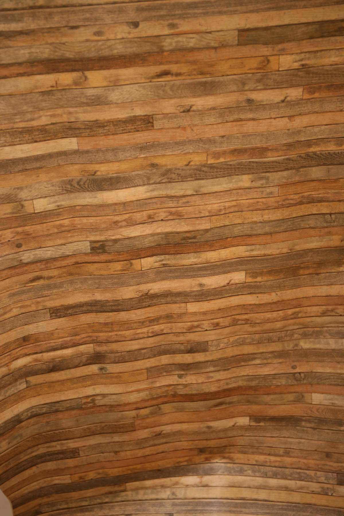 ‏‏IMG_8500 - עותק.jpg