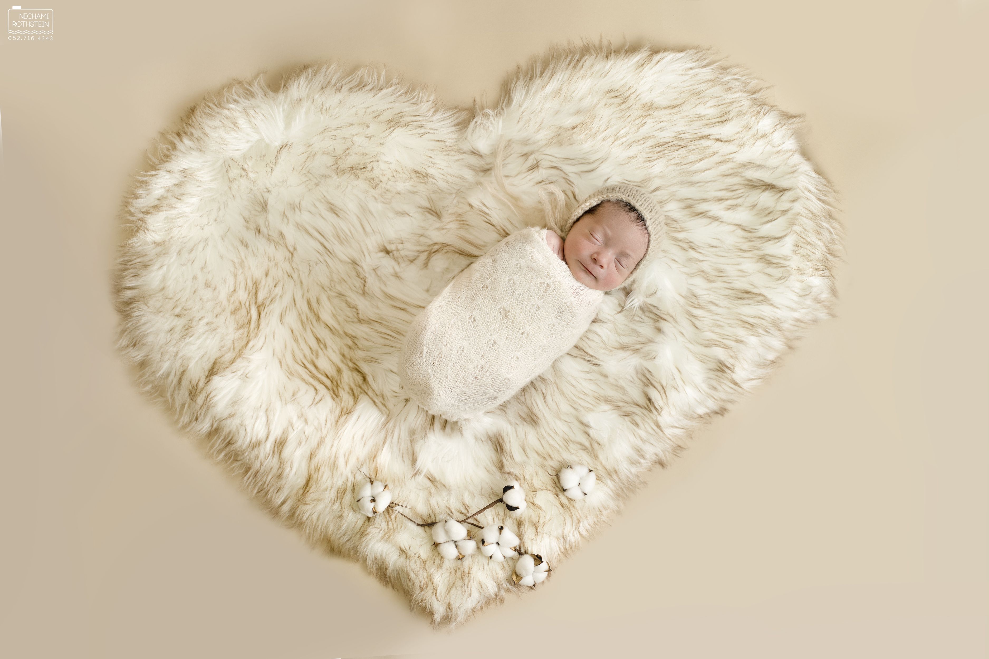 ‏‏NBR09407 - עותק.jpg