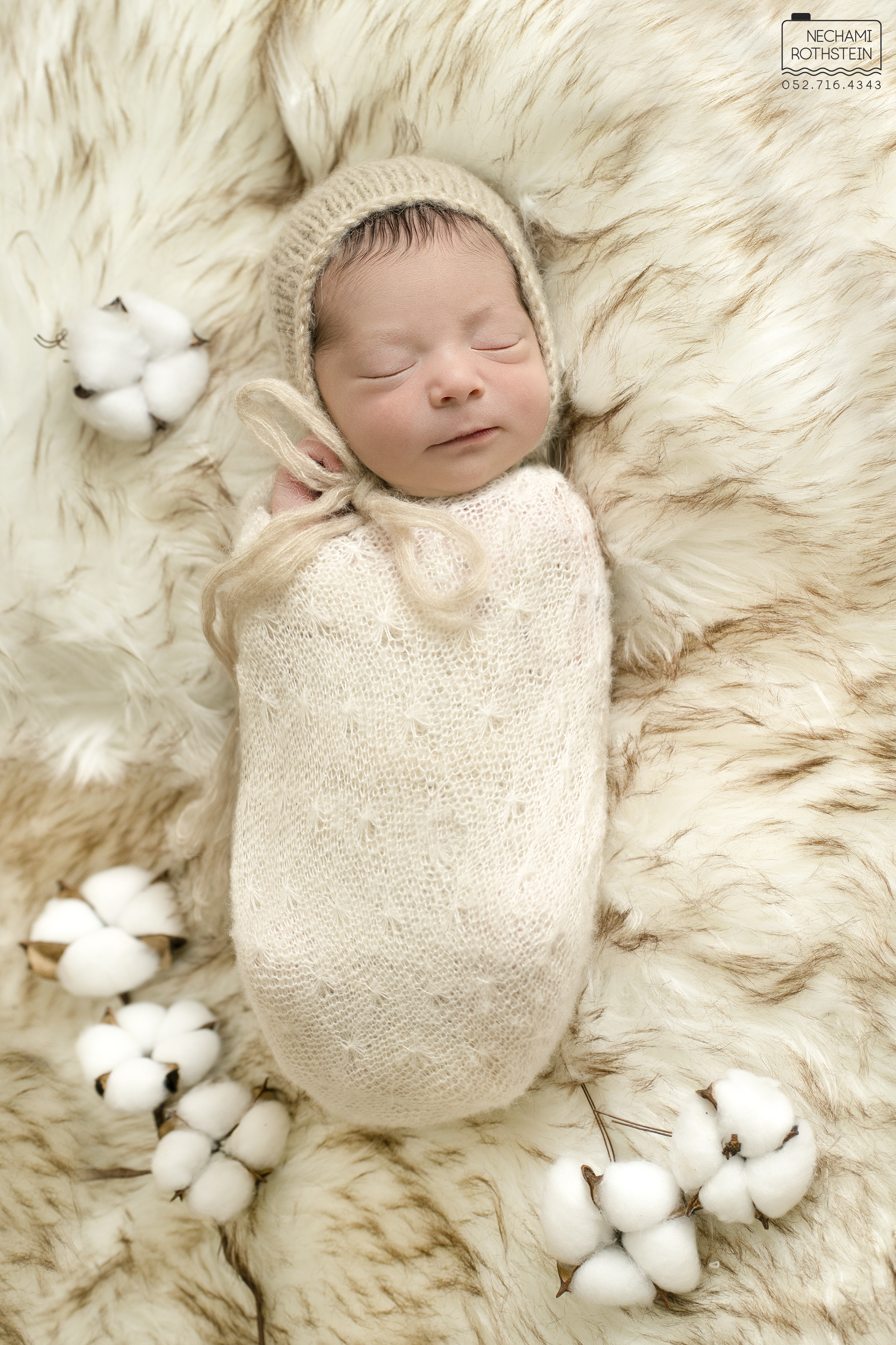 ‏‏NBR09587 - .jpg