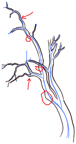 ‏‏tree (2) - עותק.png