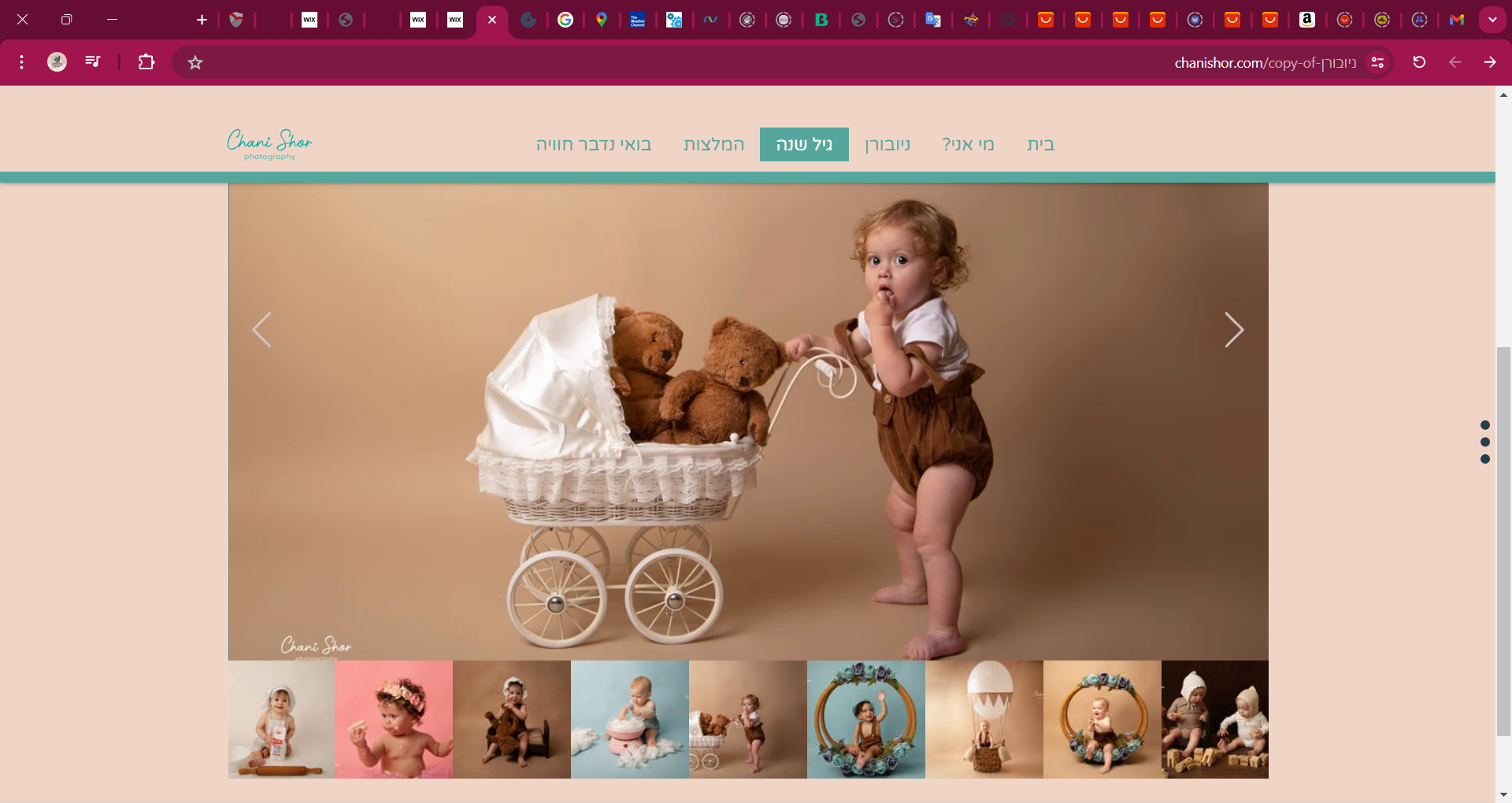 ‫גיל שנה _ My Site - Google Chrome‬ 04_07_2024 17_20_49.png