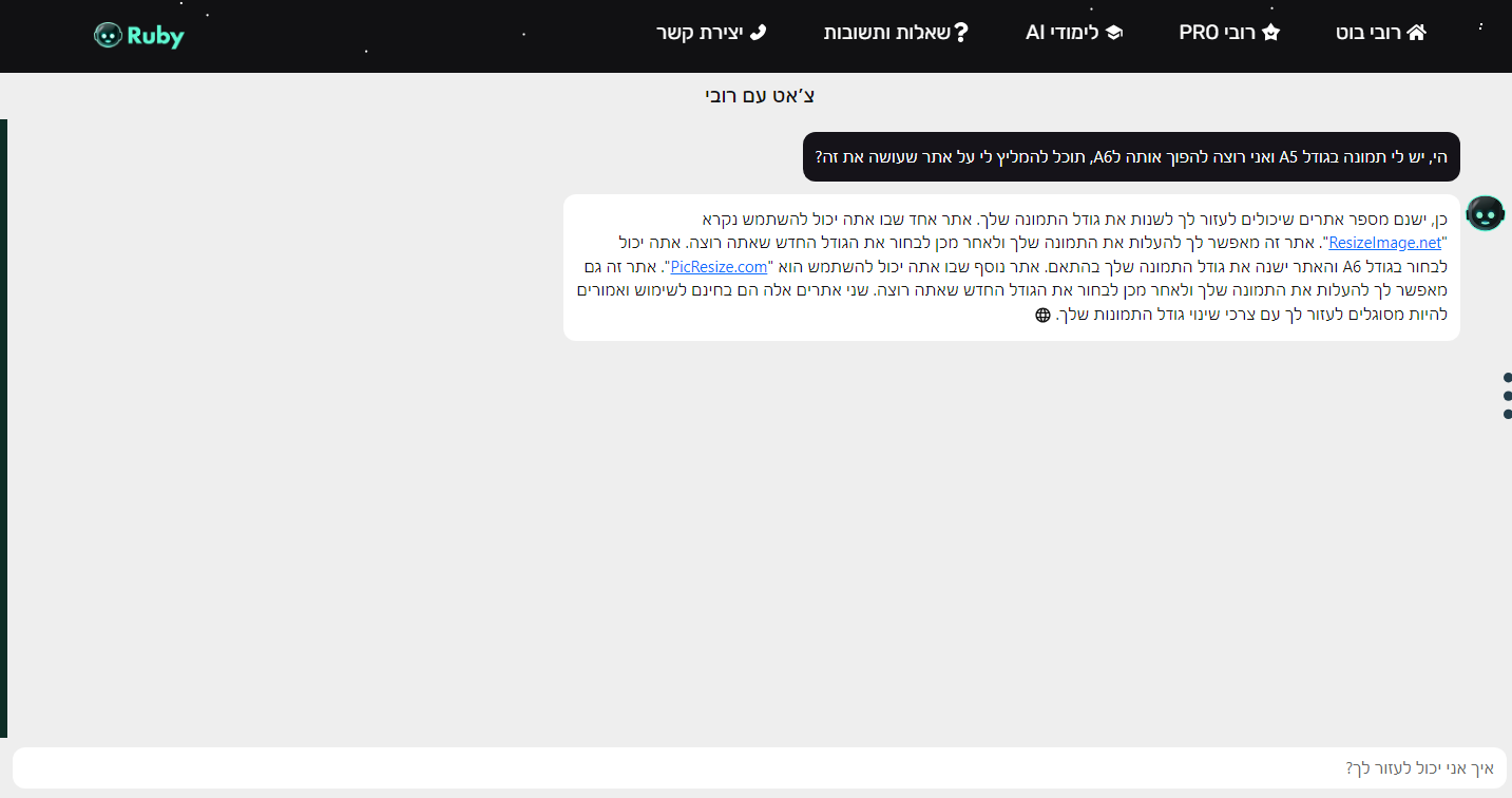 ‫רובי בוט - Google Chrome‬ 26_06_2023 23_43_21.png