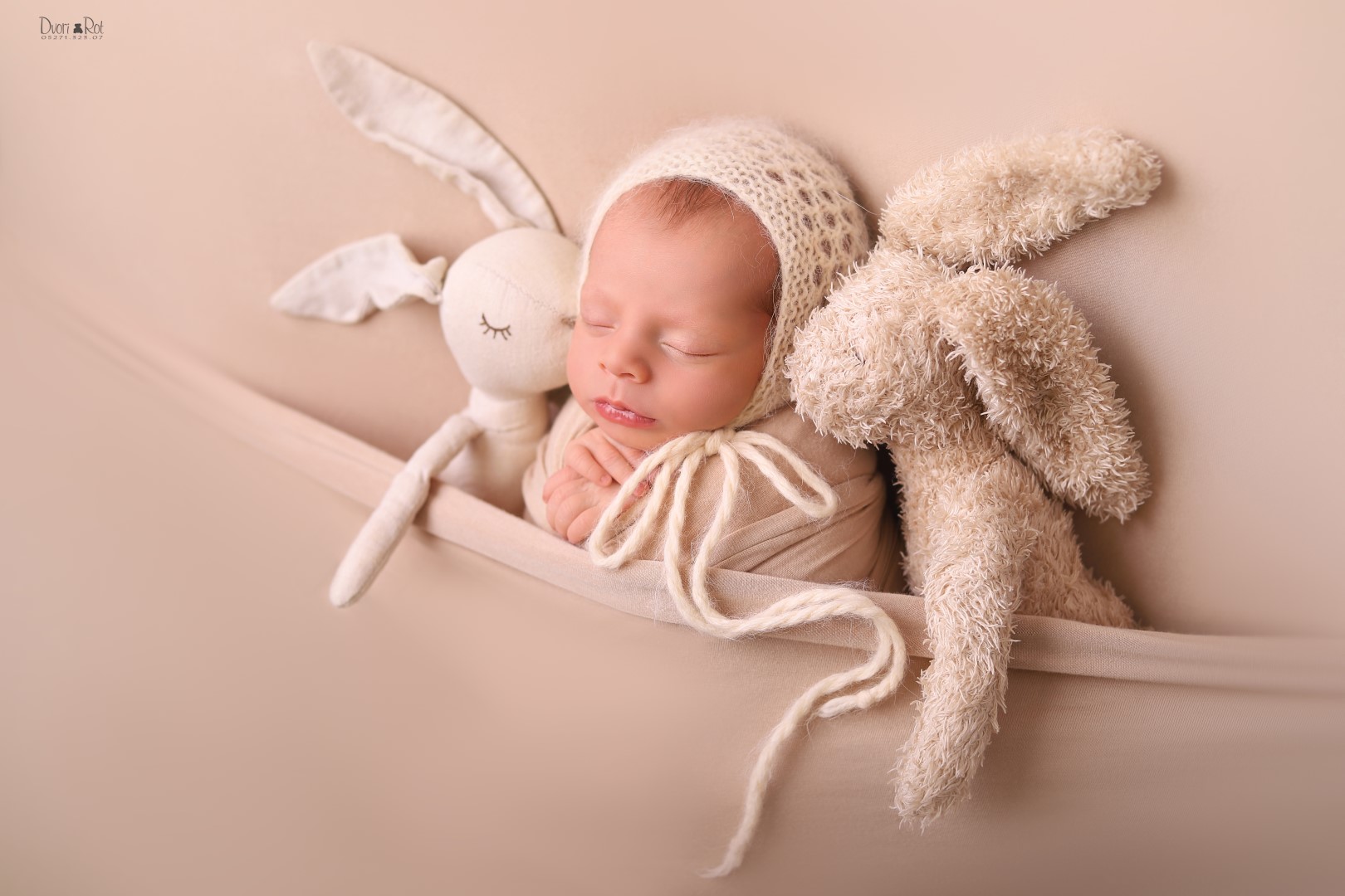 0 דבורי רוט 0527132307 (4).jpg