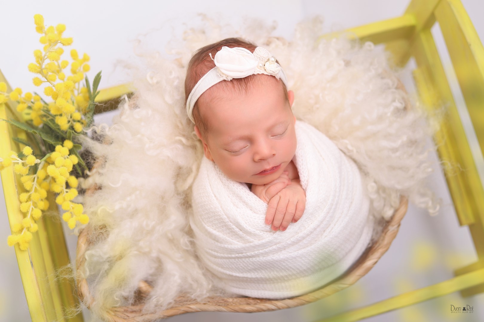 0 דבורי רוט 0527132307 (8).jpg