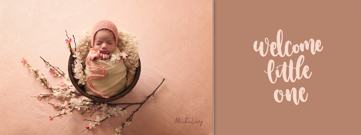 01 מתוקן copy.jpg