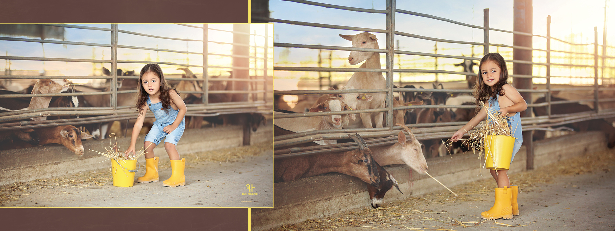 016רותי המניק.jpg