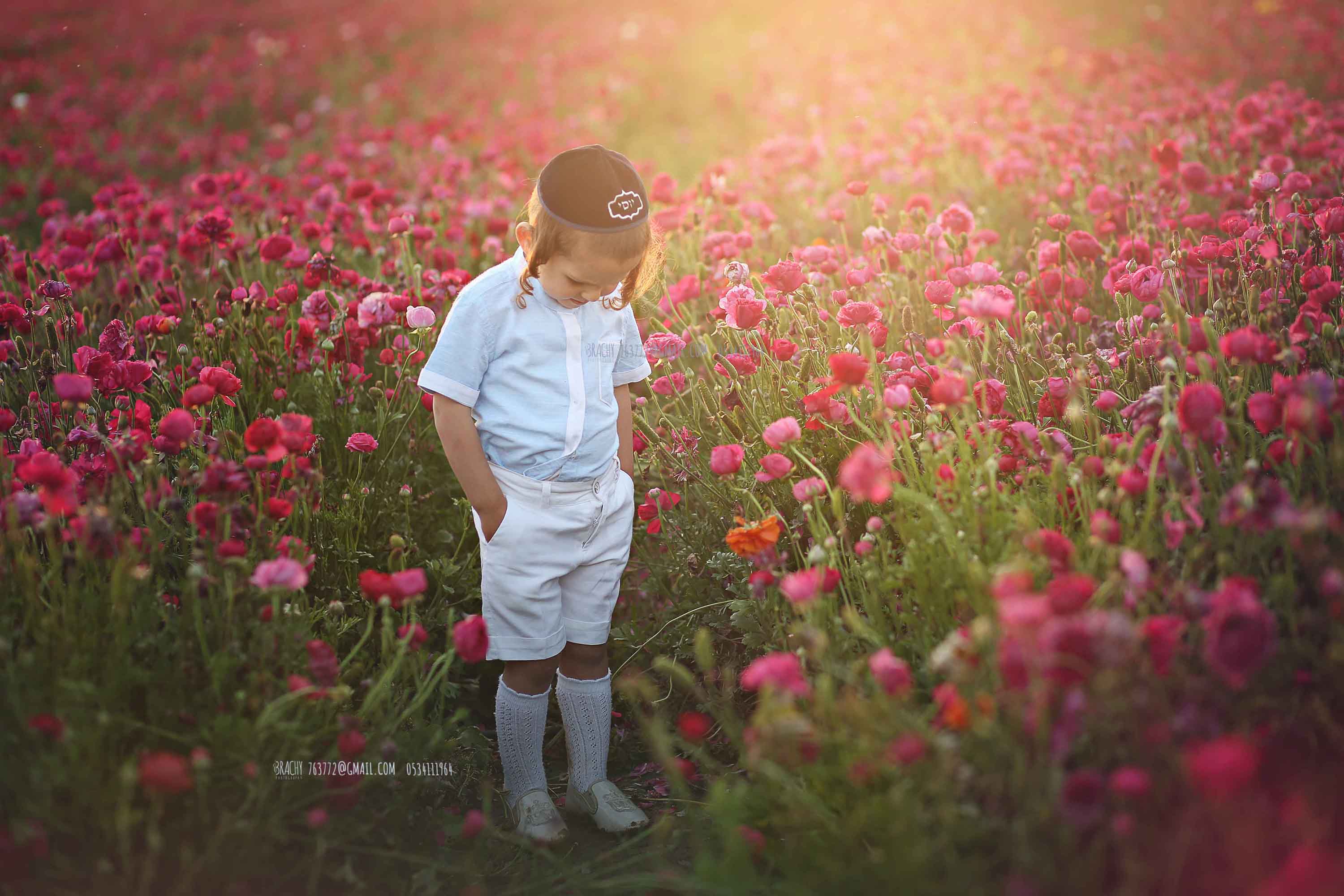 049A6239 copy.jpg