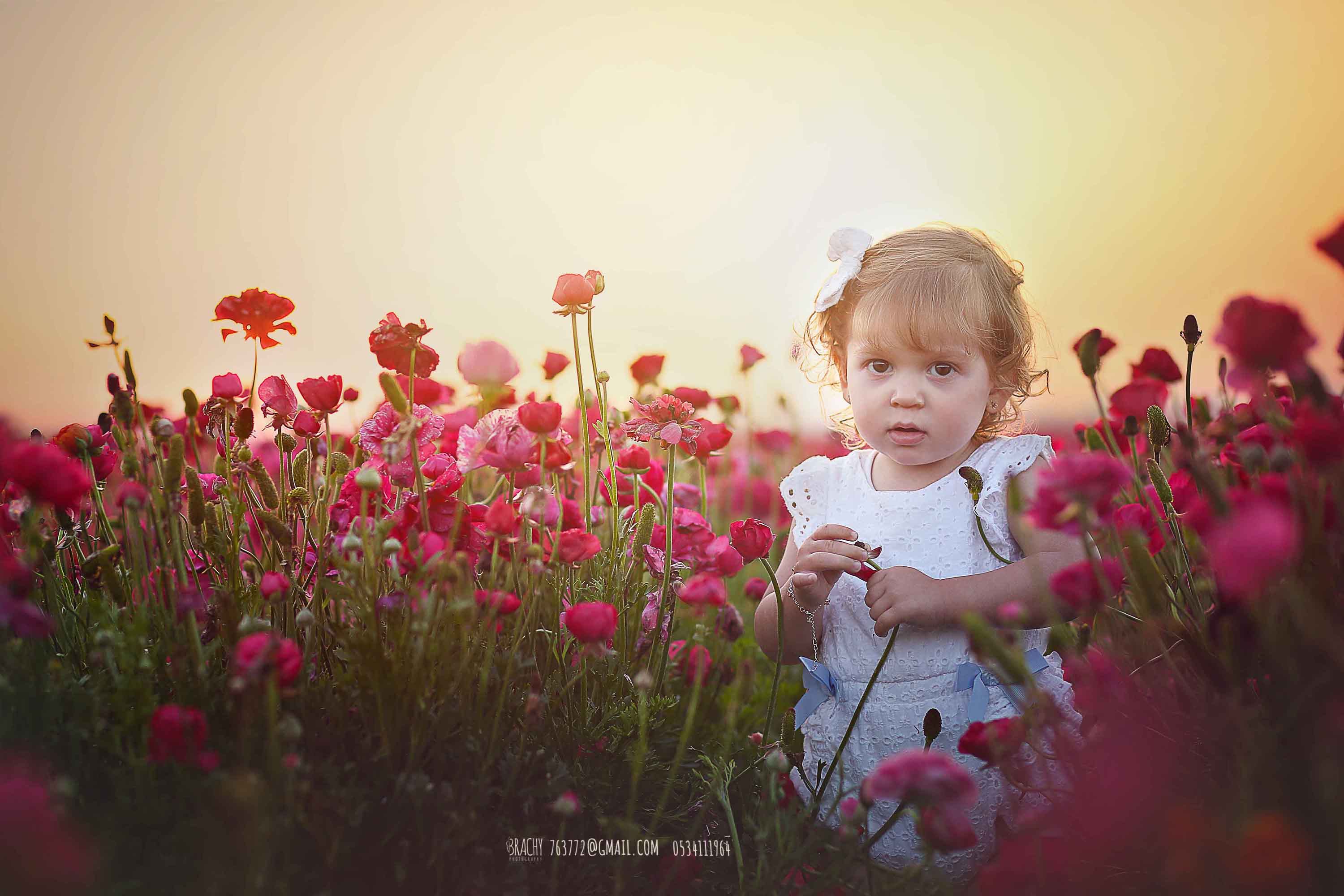 049A6372 copy.jpg
