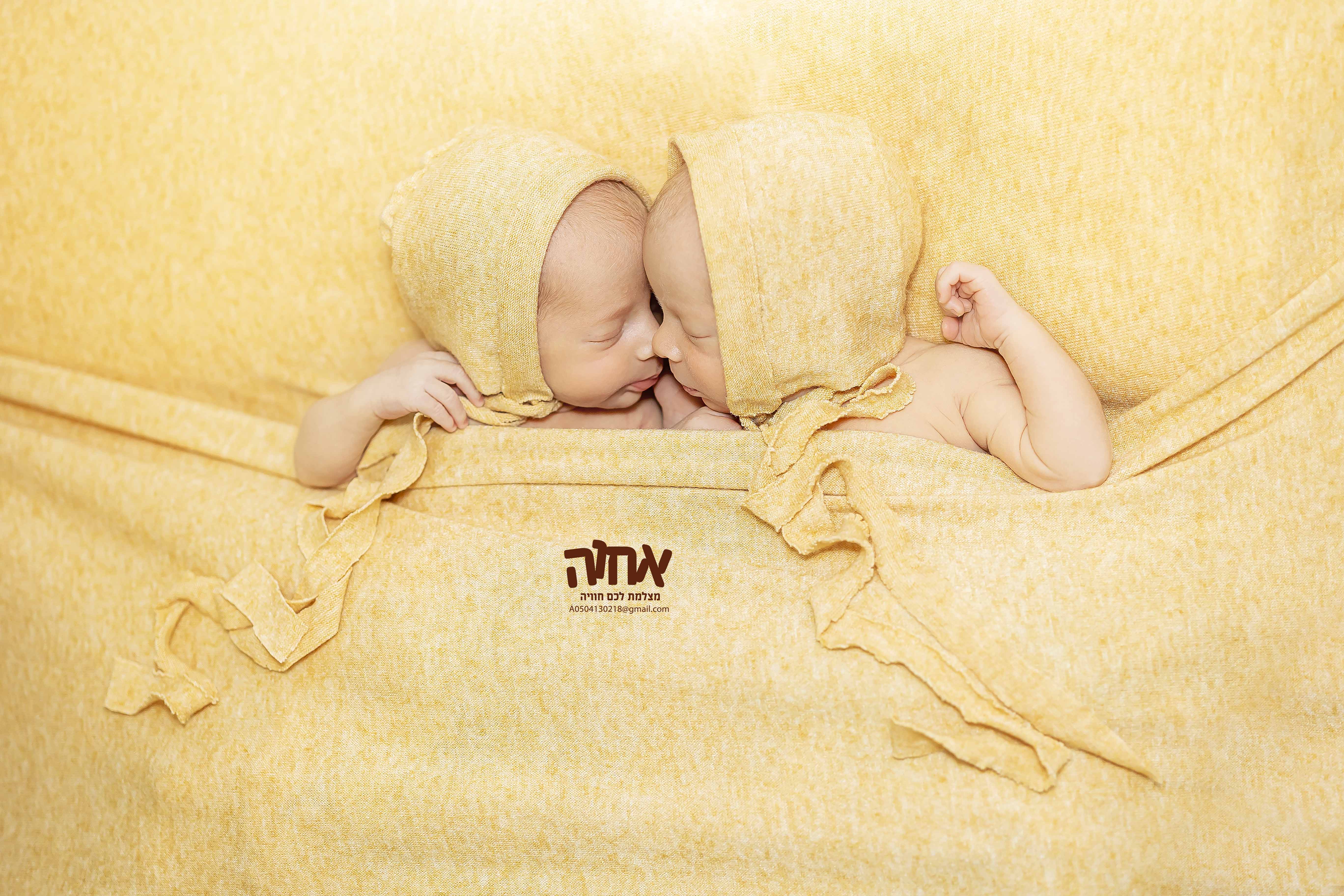 0504130218 אחוה פלוטקין (2).jpg