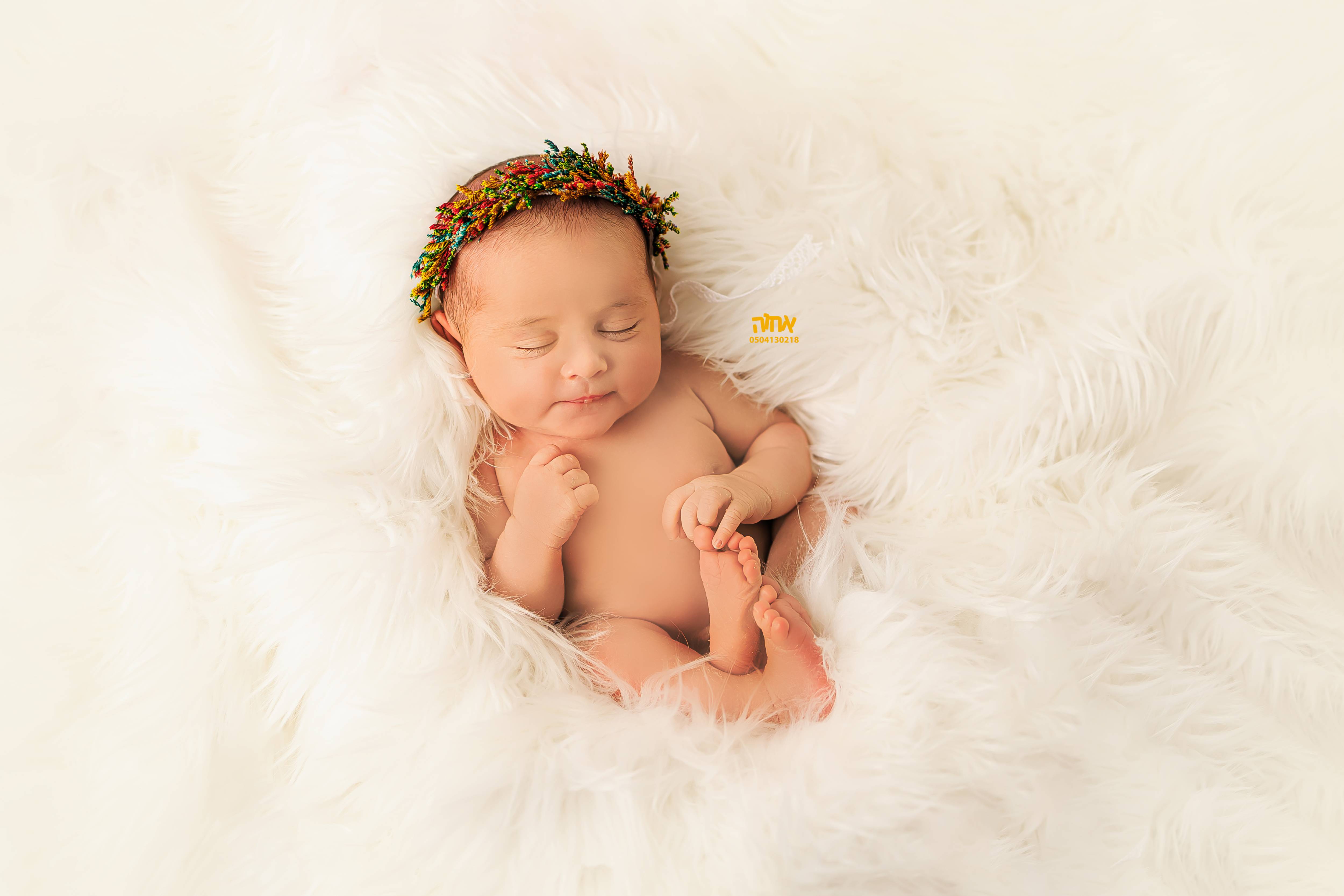 0504130218 אחוה פלוטקין (9).jpg