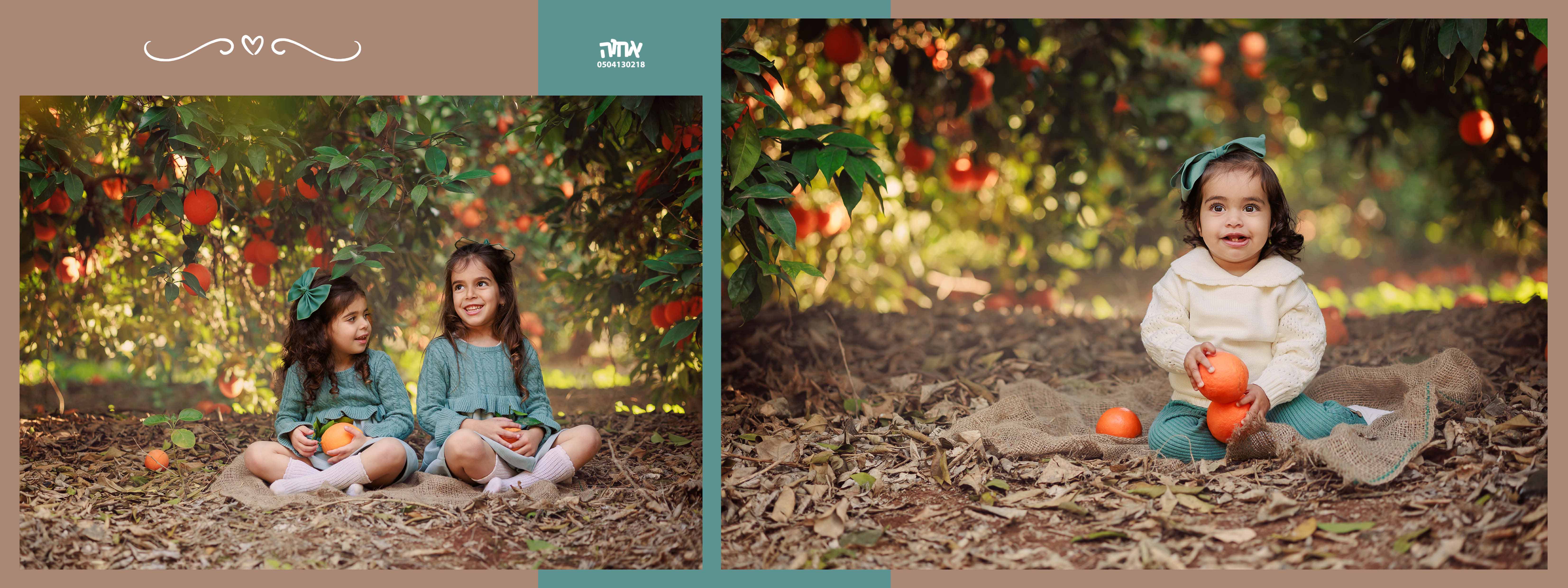 0504130218 אחוה פרדס2.jpg