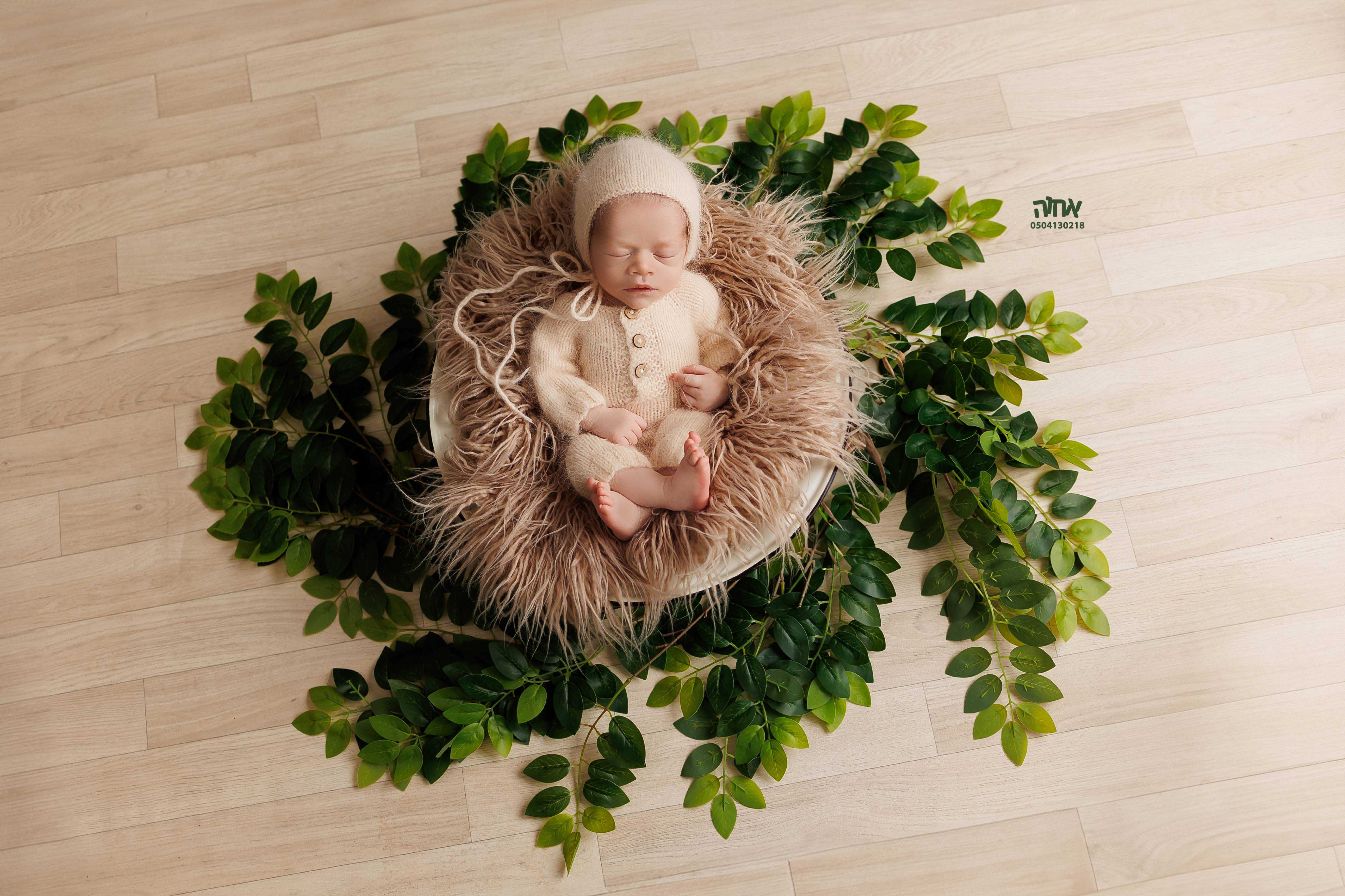 0504130218 אחו הפלוטקין (11).jpg