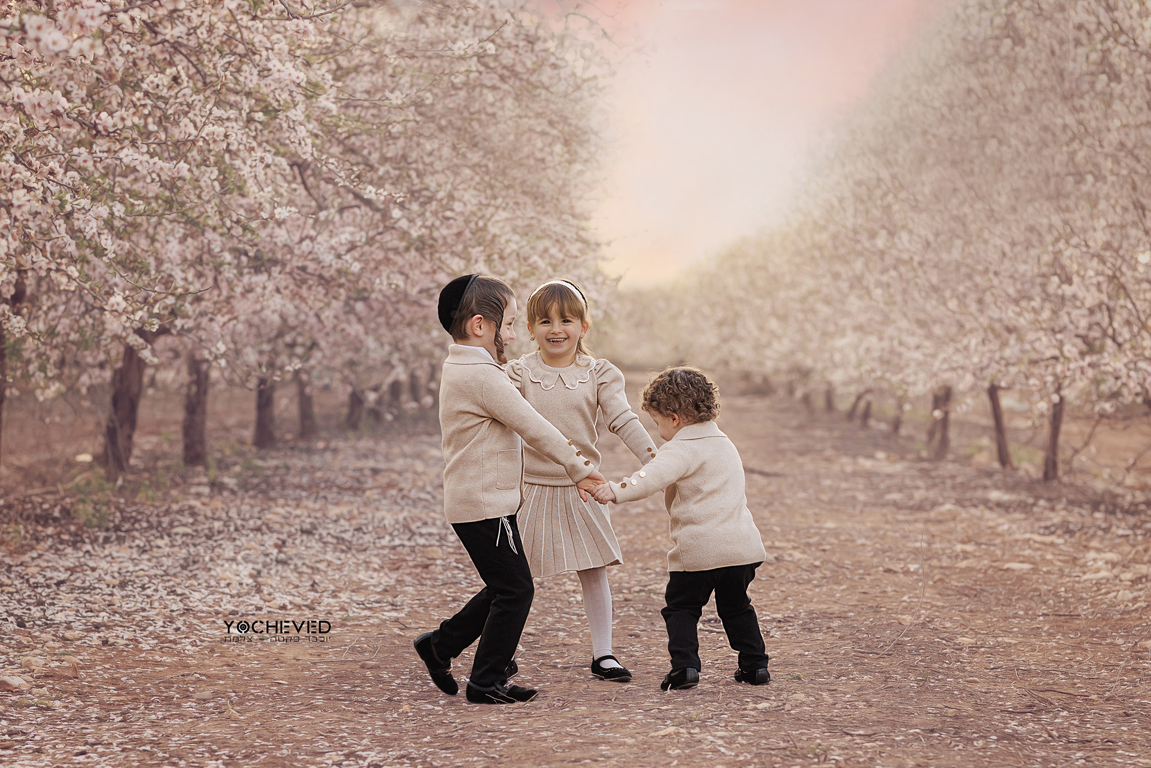 05484187247 יוכבד פקטה.jpg