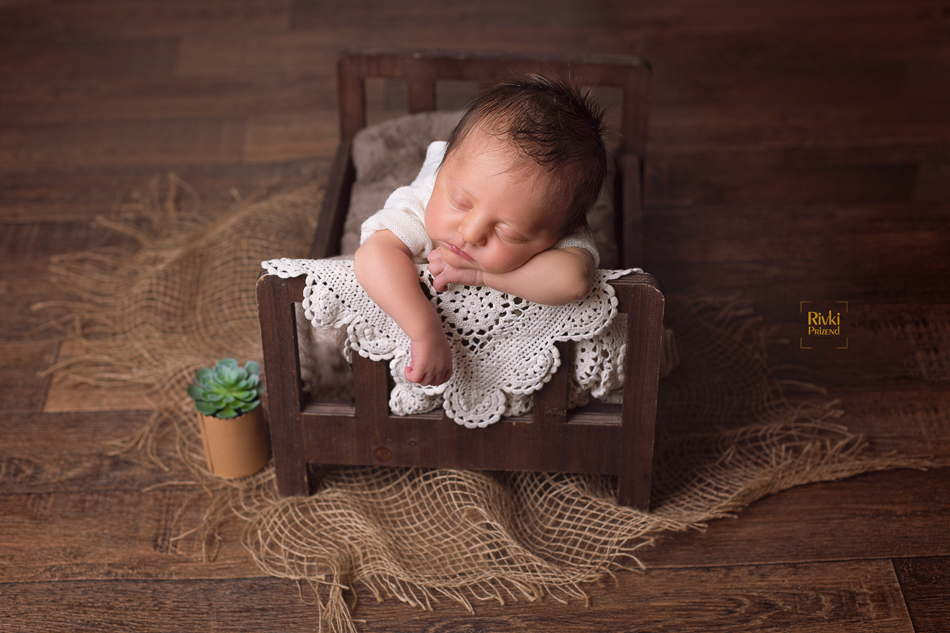 054A2850איכות נמוכה.jpg