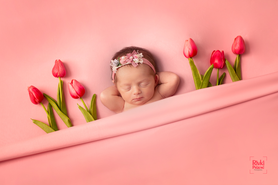 054A3748איכות נמוכה.jpg